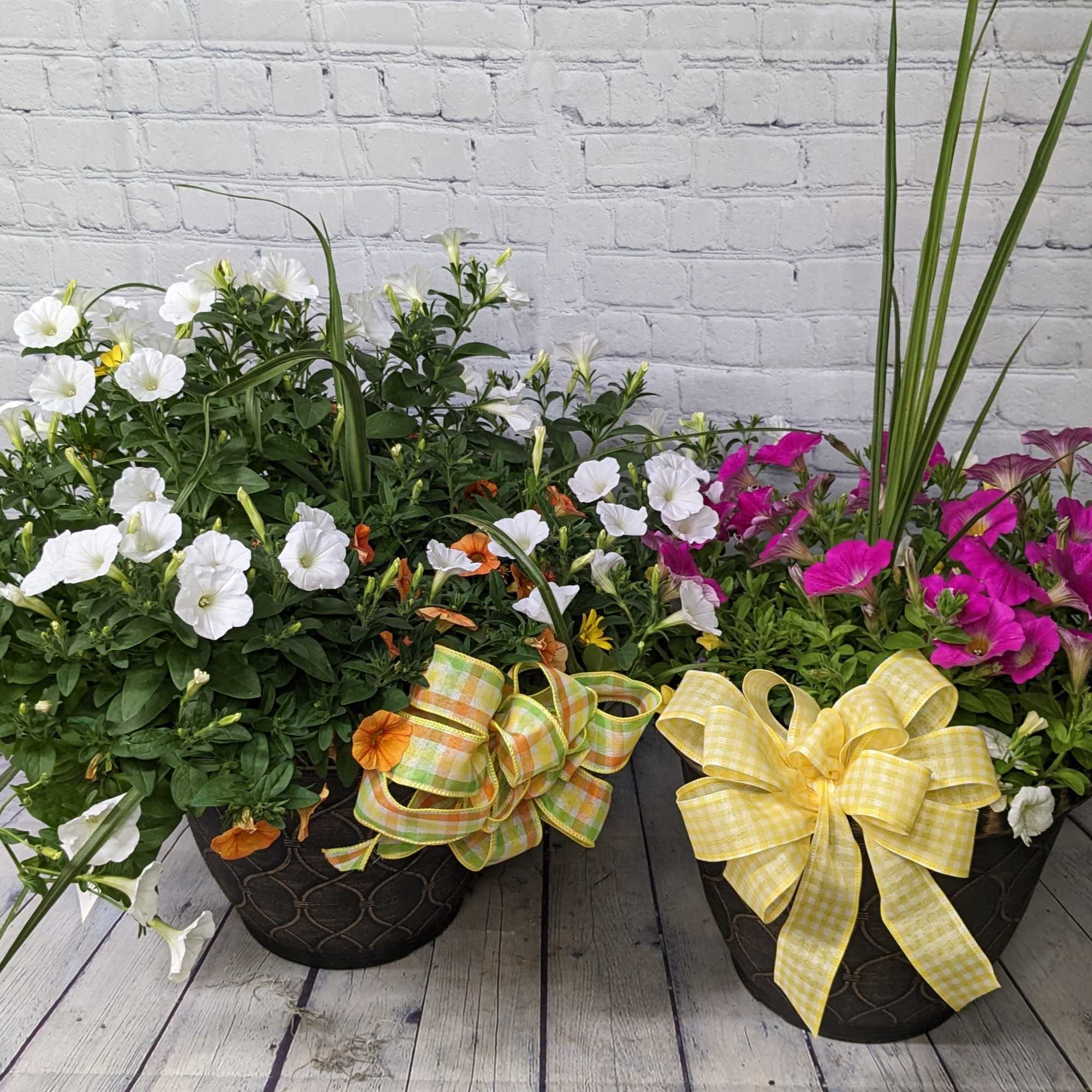Celebrate Mom this year and help to make her porch or deck