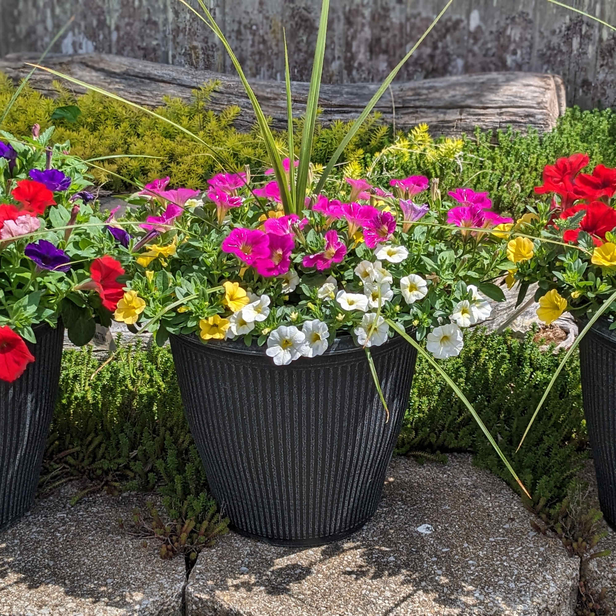 Celebrate Mom this year and help to make her porch or deck