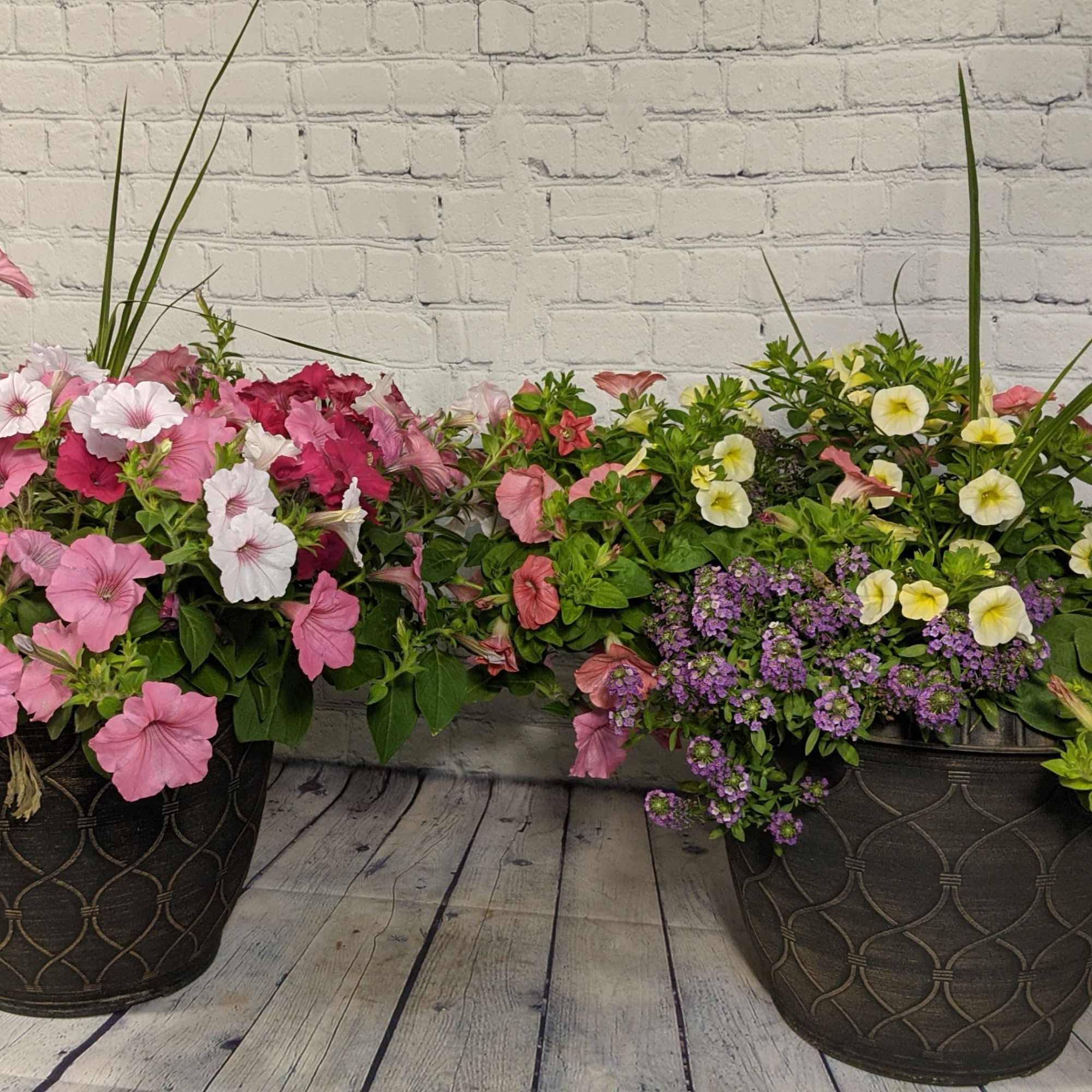 Two large potted flower arrangements with pink and white blooms