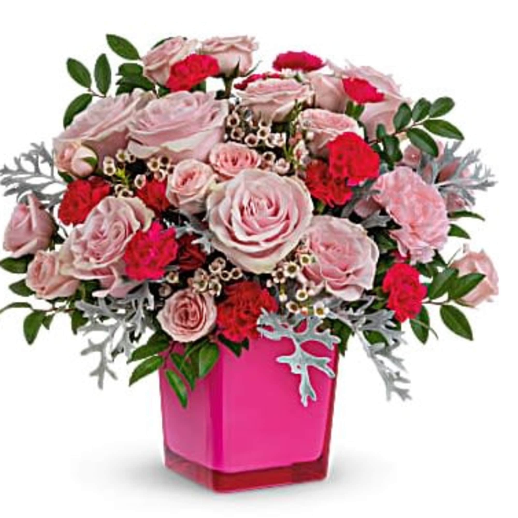 Pink and red rose and carnation arrangement in a bright pink cube vase with silver foliage accents