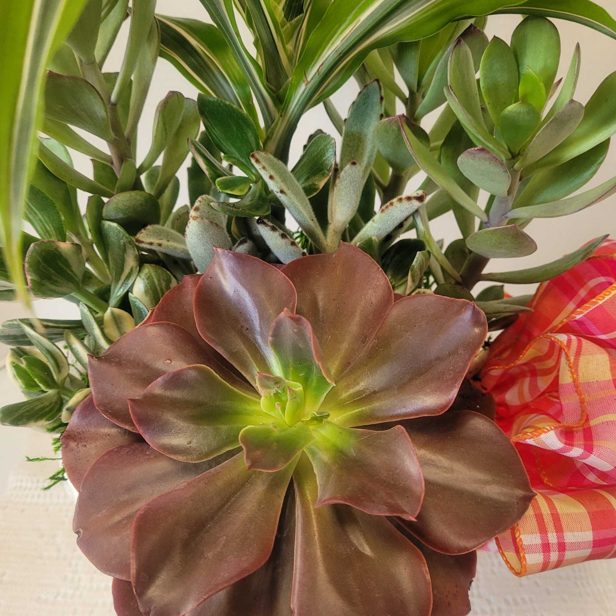 A great container filled to the brim with plants. It is an