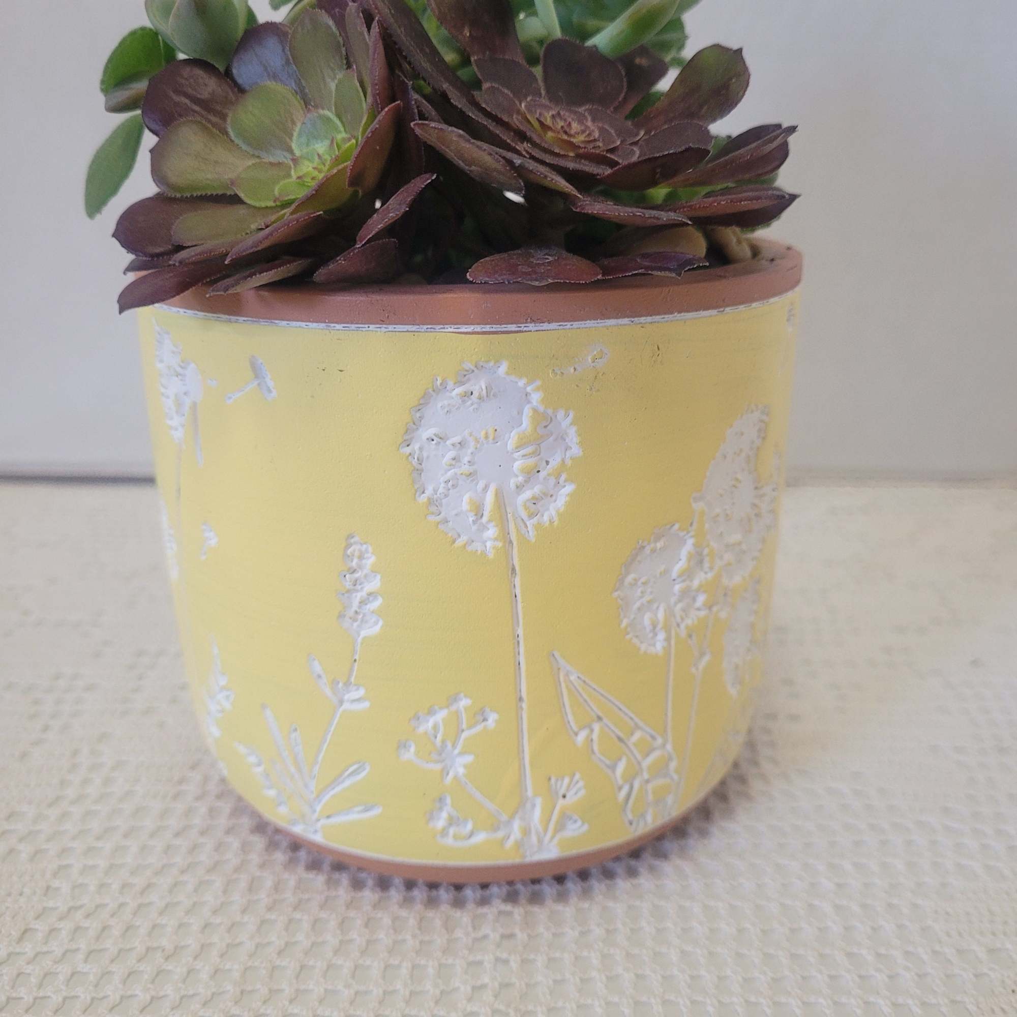 This is a pretty embossed flower motif container. Hardy succulents accents this