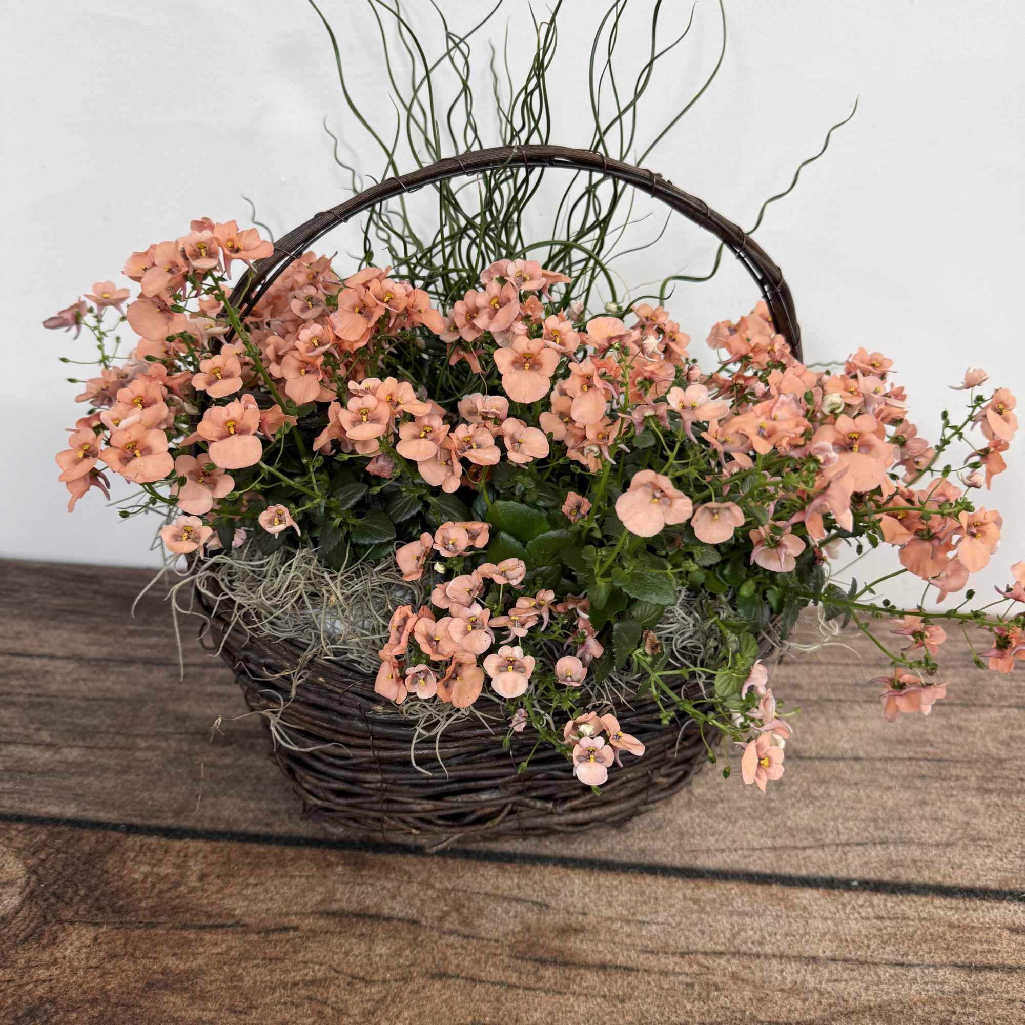 Grapevine basket containing a mix of annual plants that can also be