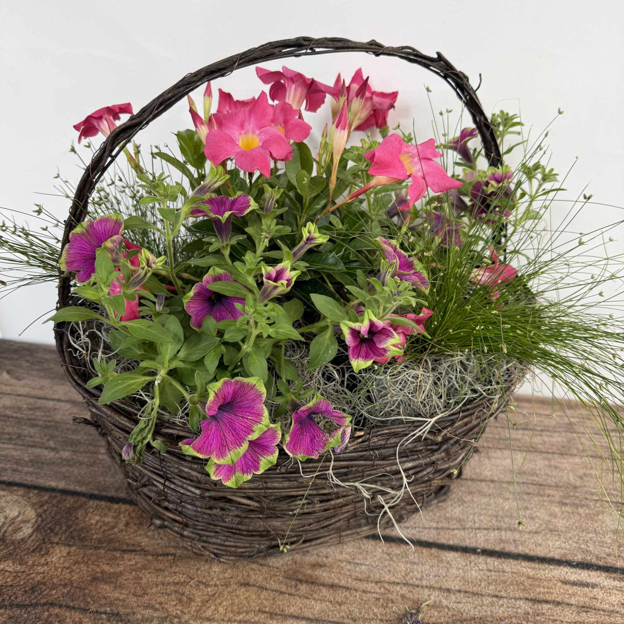 Grapevine basket designed with mixed annual plants. Approx. 18"x18".