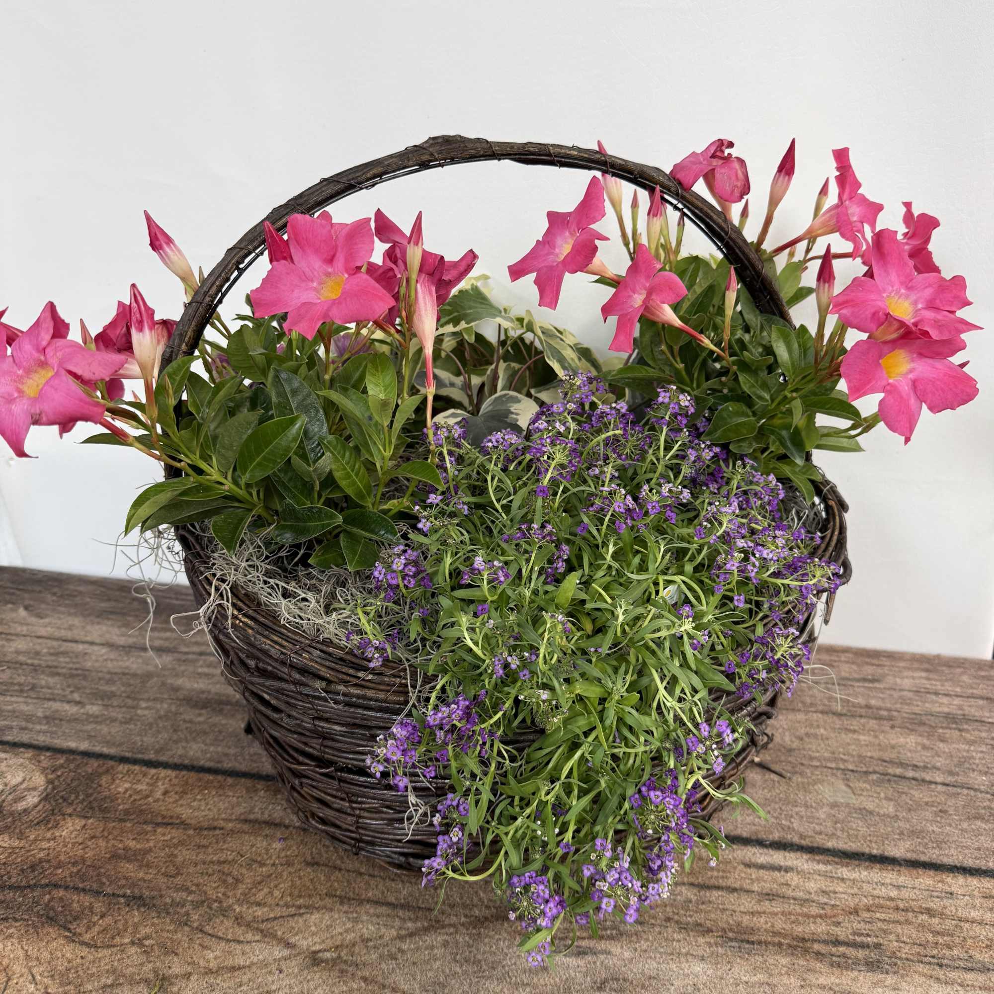 Grapevine basket designed with mixed annual plants. Approx. 18"x18".