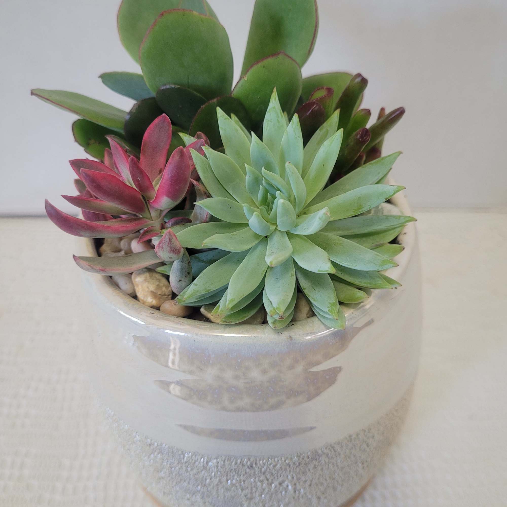 The translucent finish makes this a lovely container planted with succulents. It