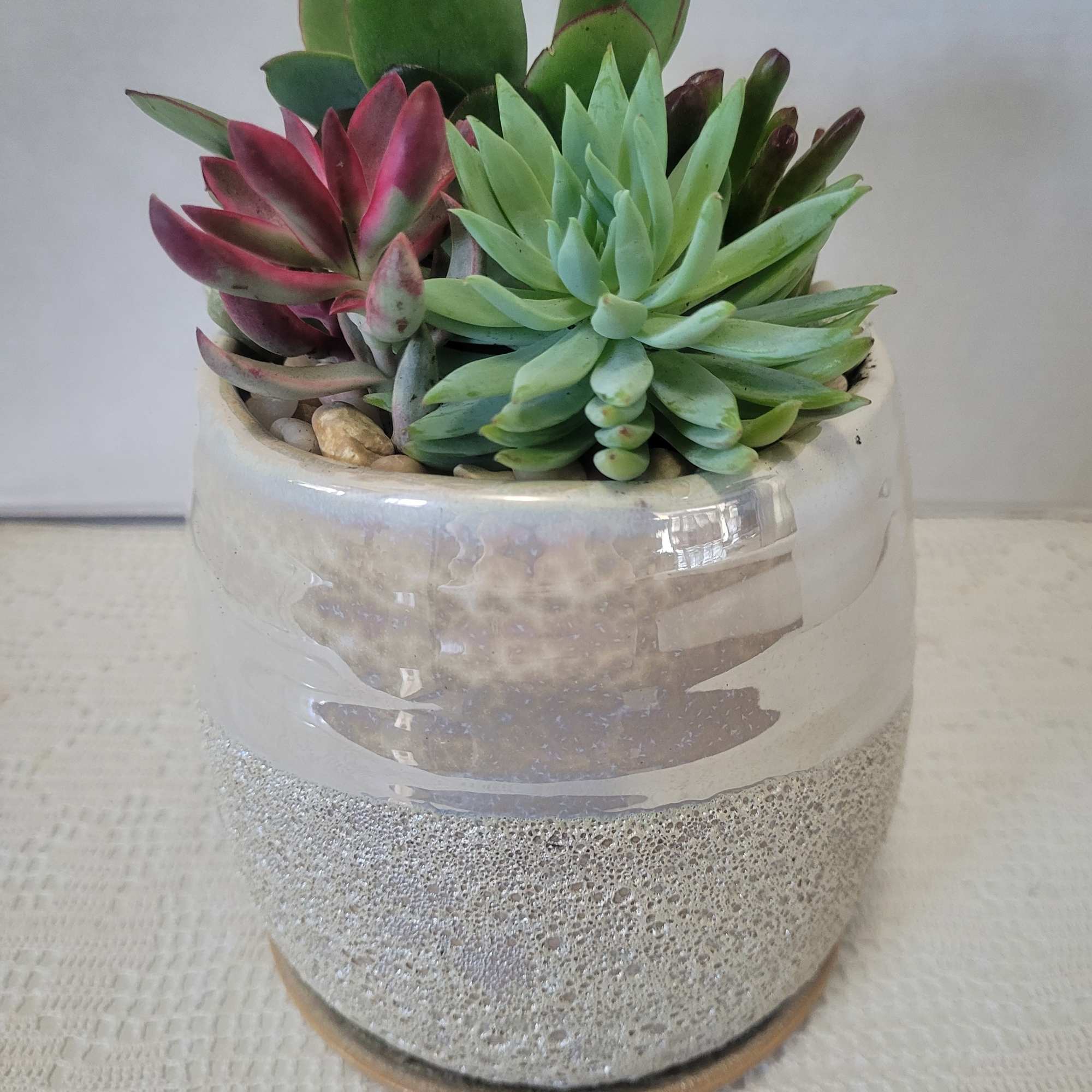 The translucent finish makes this a lovely container planted with succulents. It