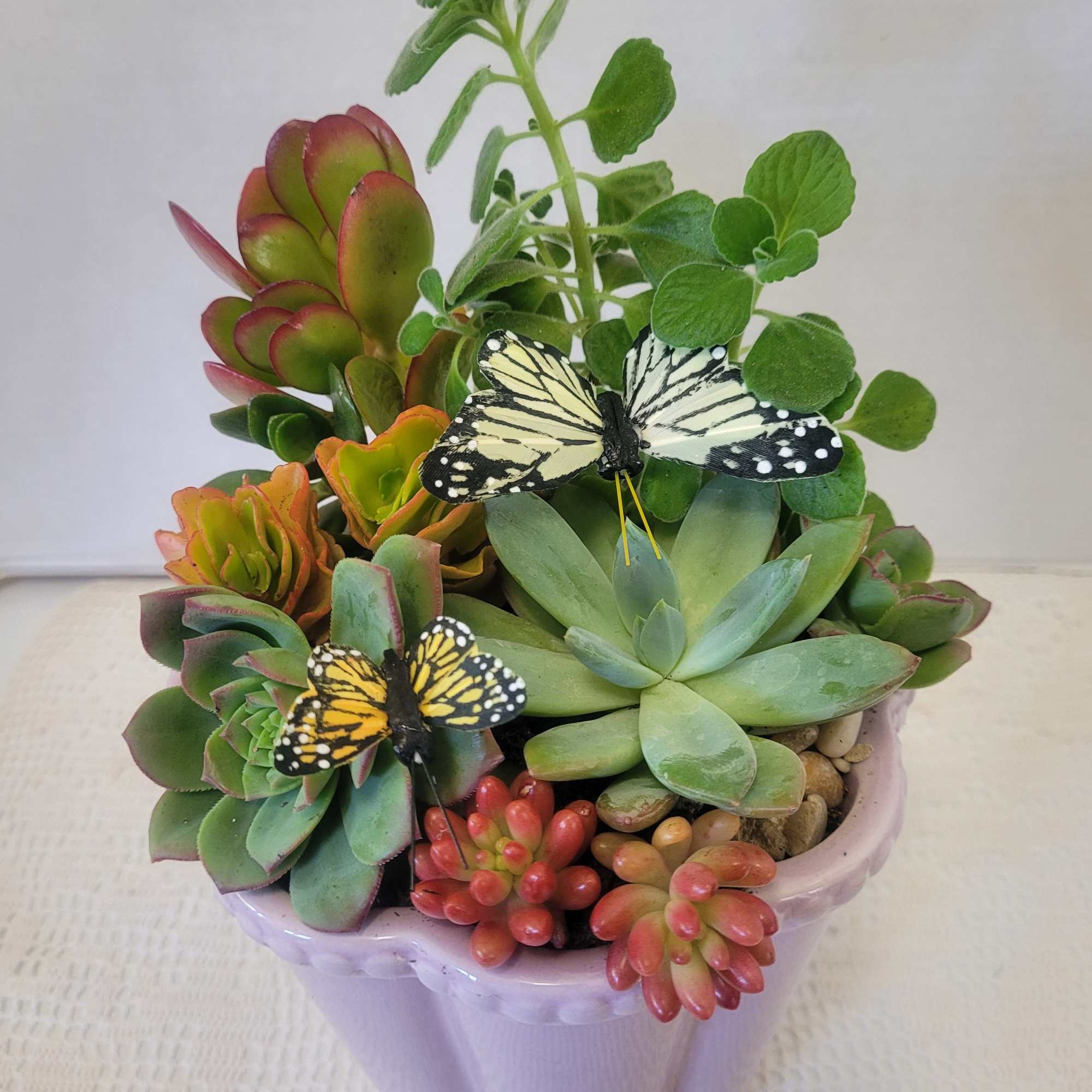 A soft lavender container packed with succulents. Very easy to care for