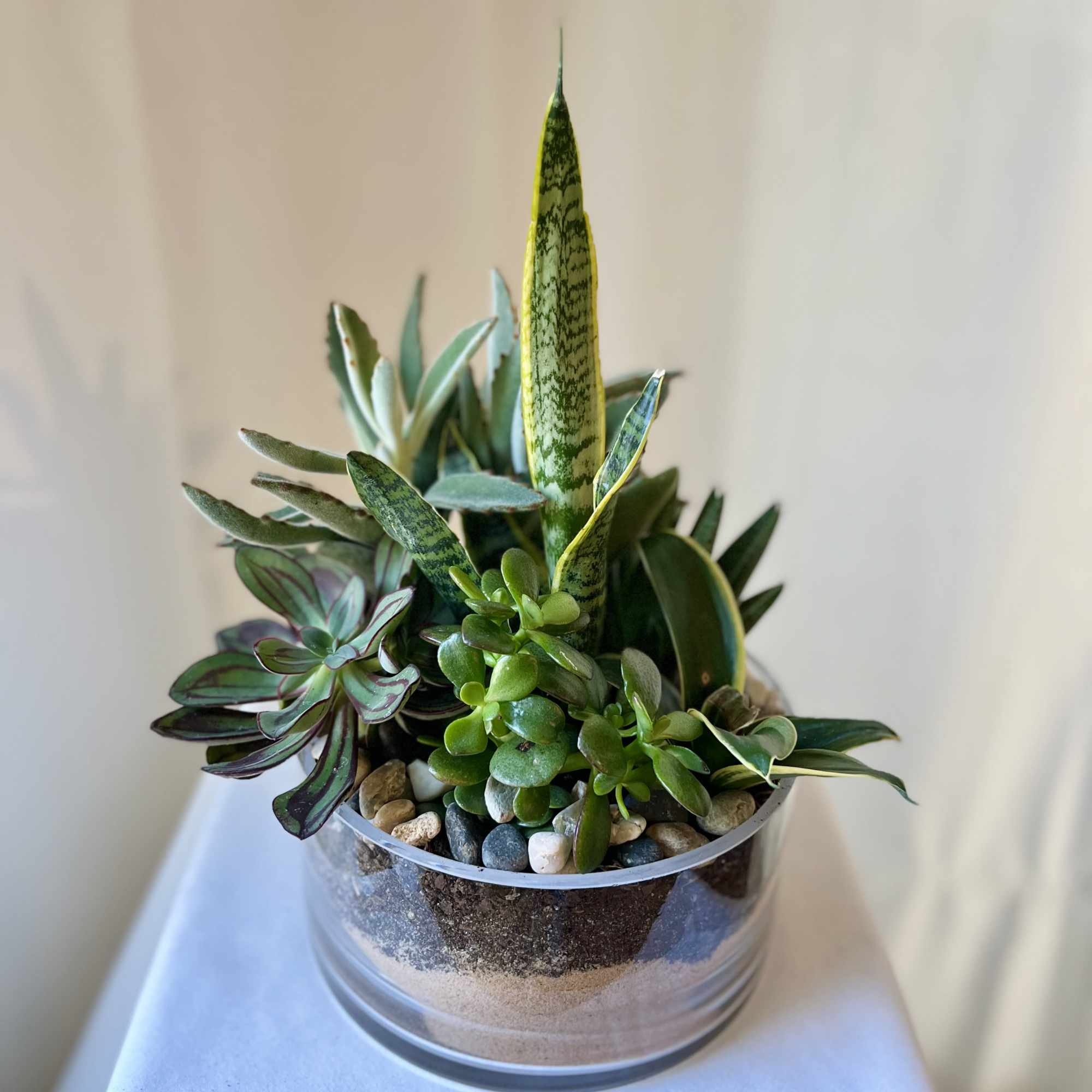 Succulent arrangement in a clear glass bowl with pebbles