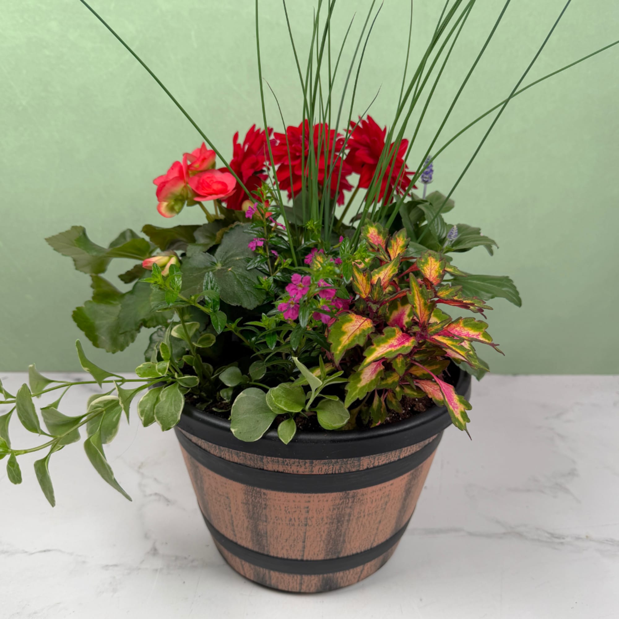 A lively mix of potted flowering plants makes this outdoor blooming garden