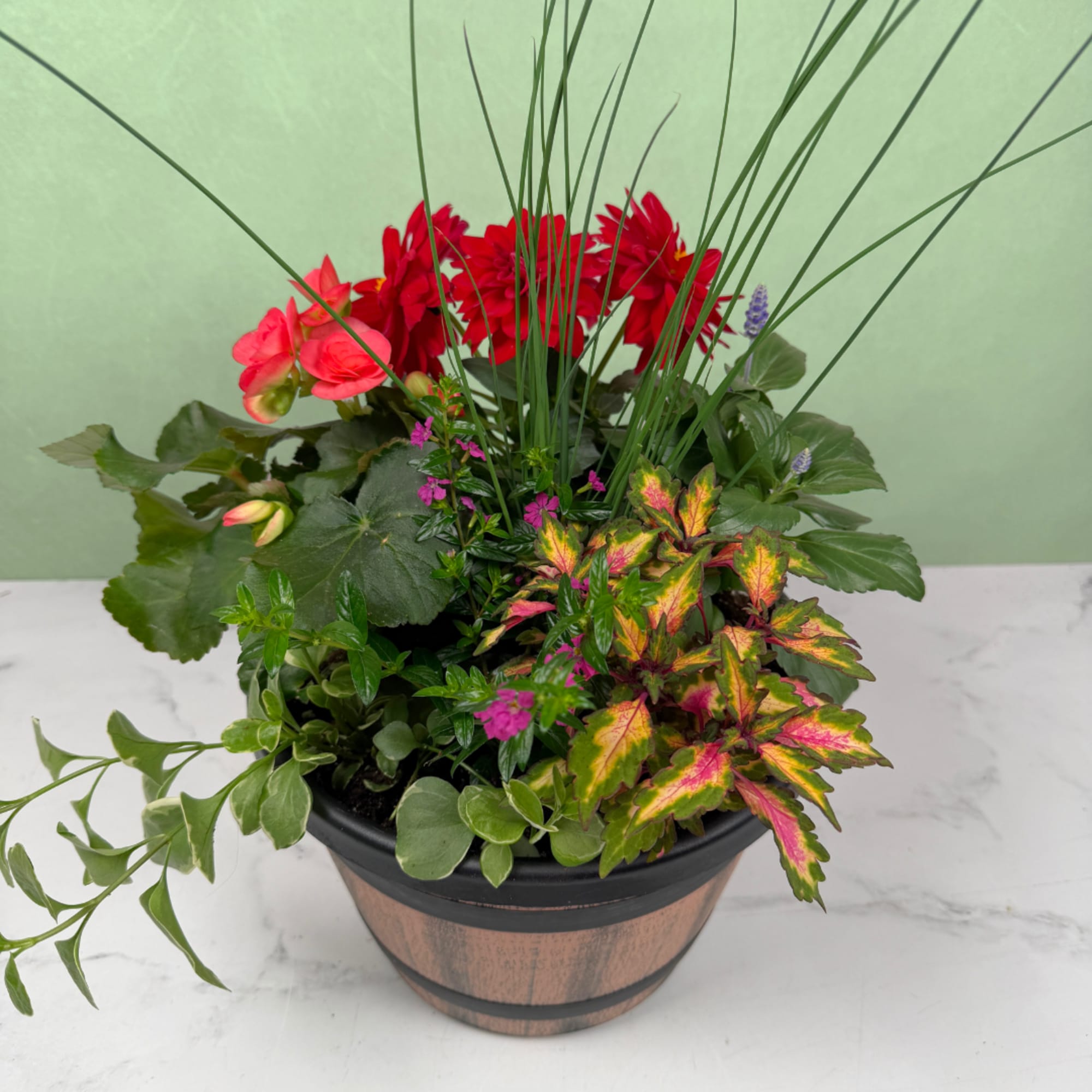 A lively mix of potted flowering plants makes this outdoor blooming garden