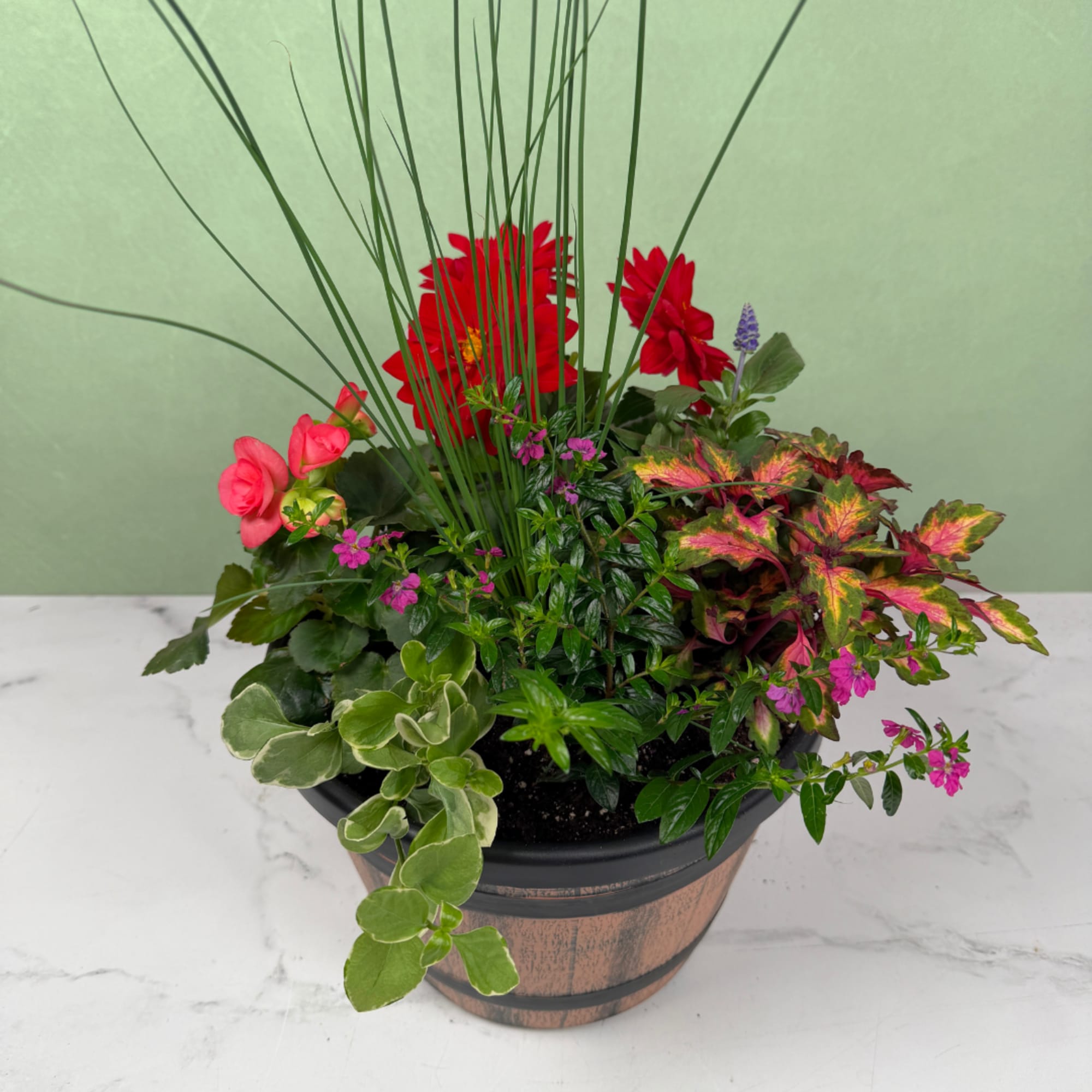 A lively mix of potted flowering plants makes this outdoor blooming garden