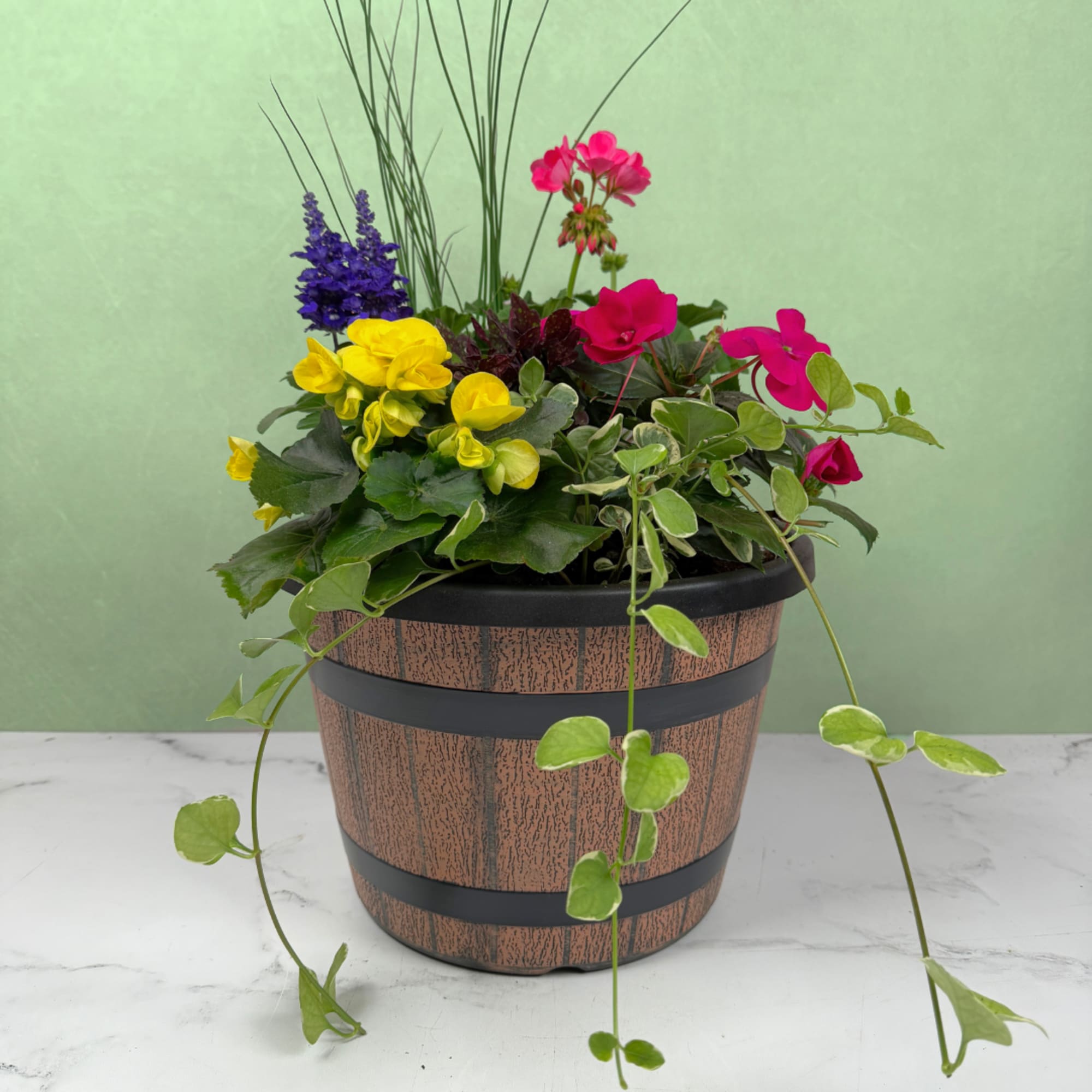 A lively mix of potted flowering plants brings the colors of summer