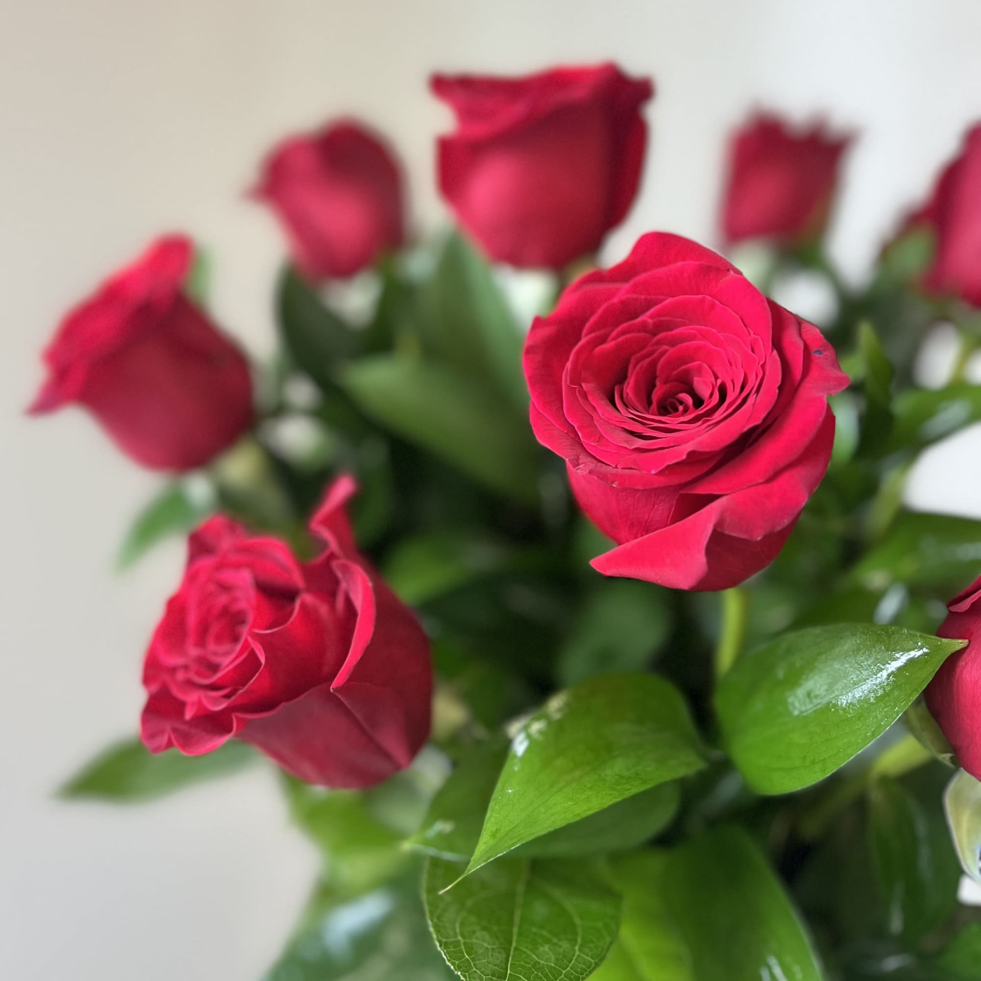 Bouquet of red roses with green leaves