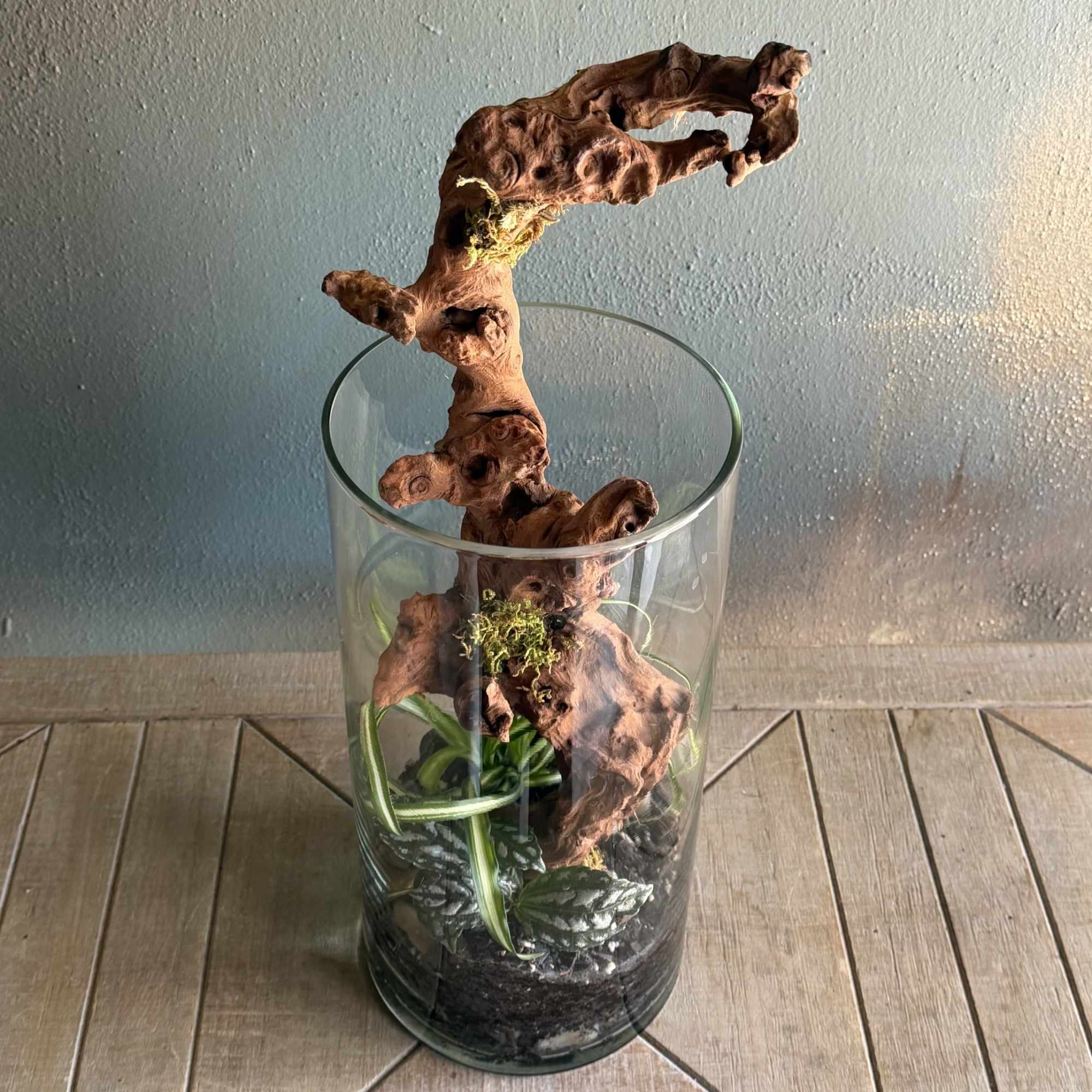 A striking sculptural plant display built around weathered driftwood brings a slice