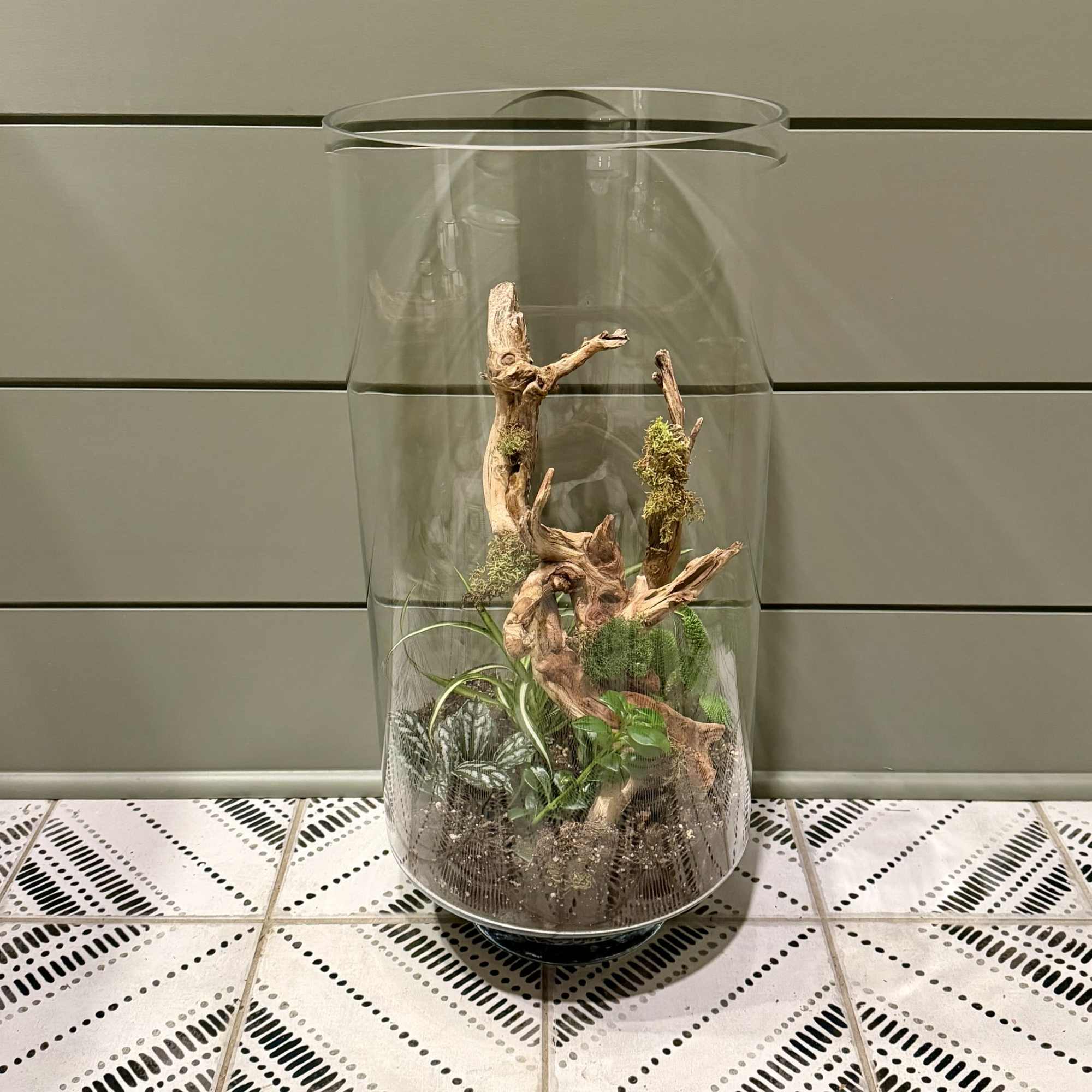 A striking sculptural plant display built around weathered driftwood brings a slice