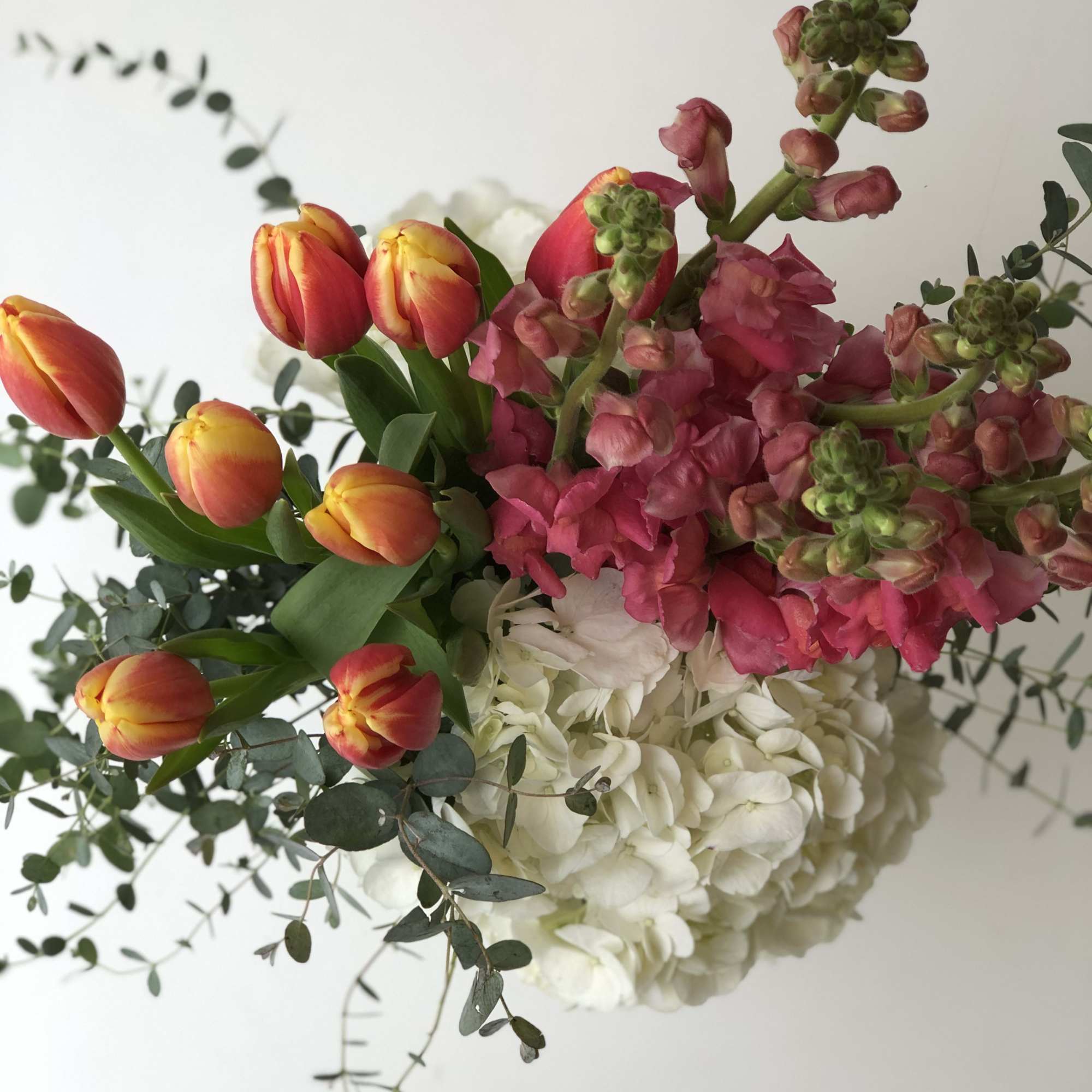 Bouquet of orange tulips, pink snapdragons, and white hydrangeas
