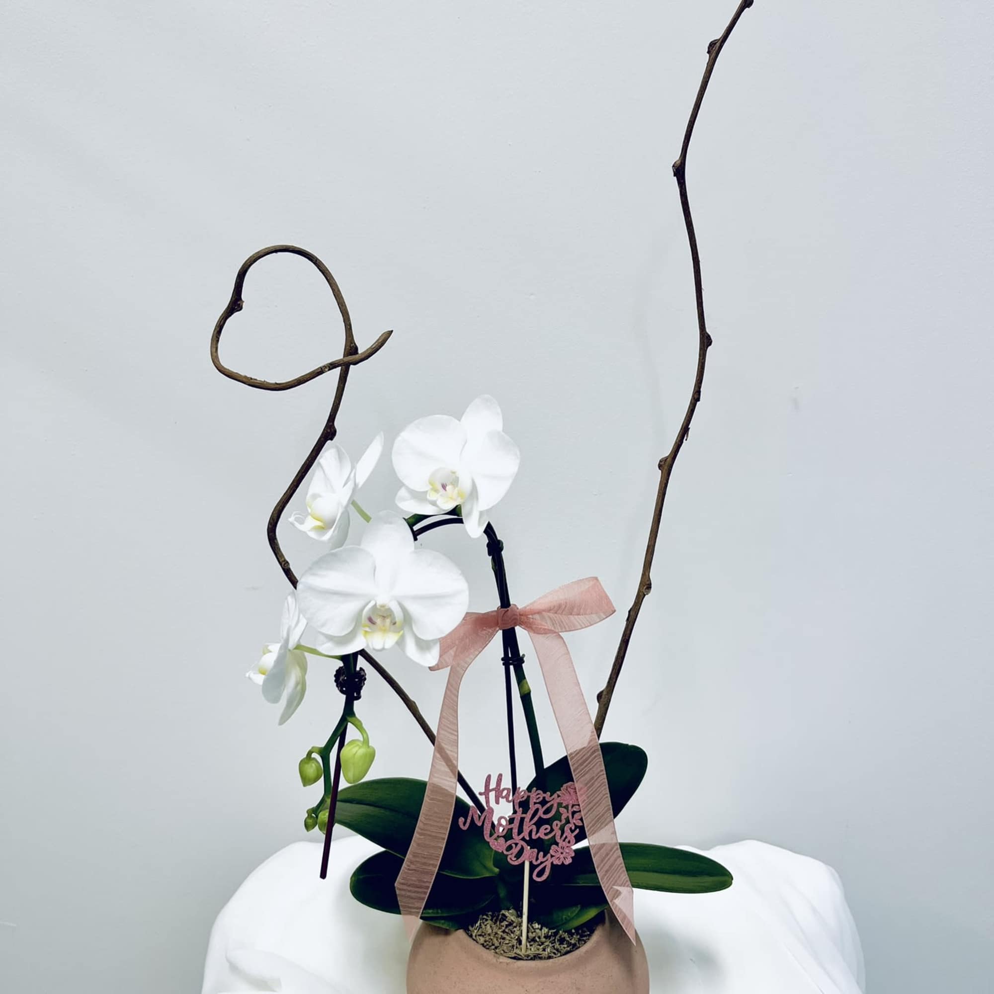 Cascading white Phalaenopsis orchids bring quiet elegance to any room - a