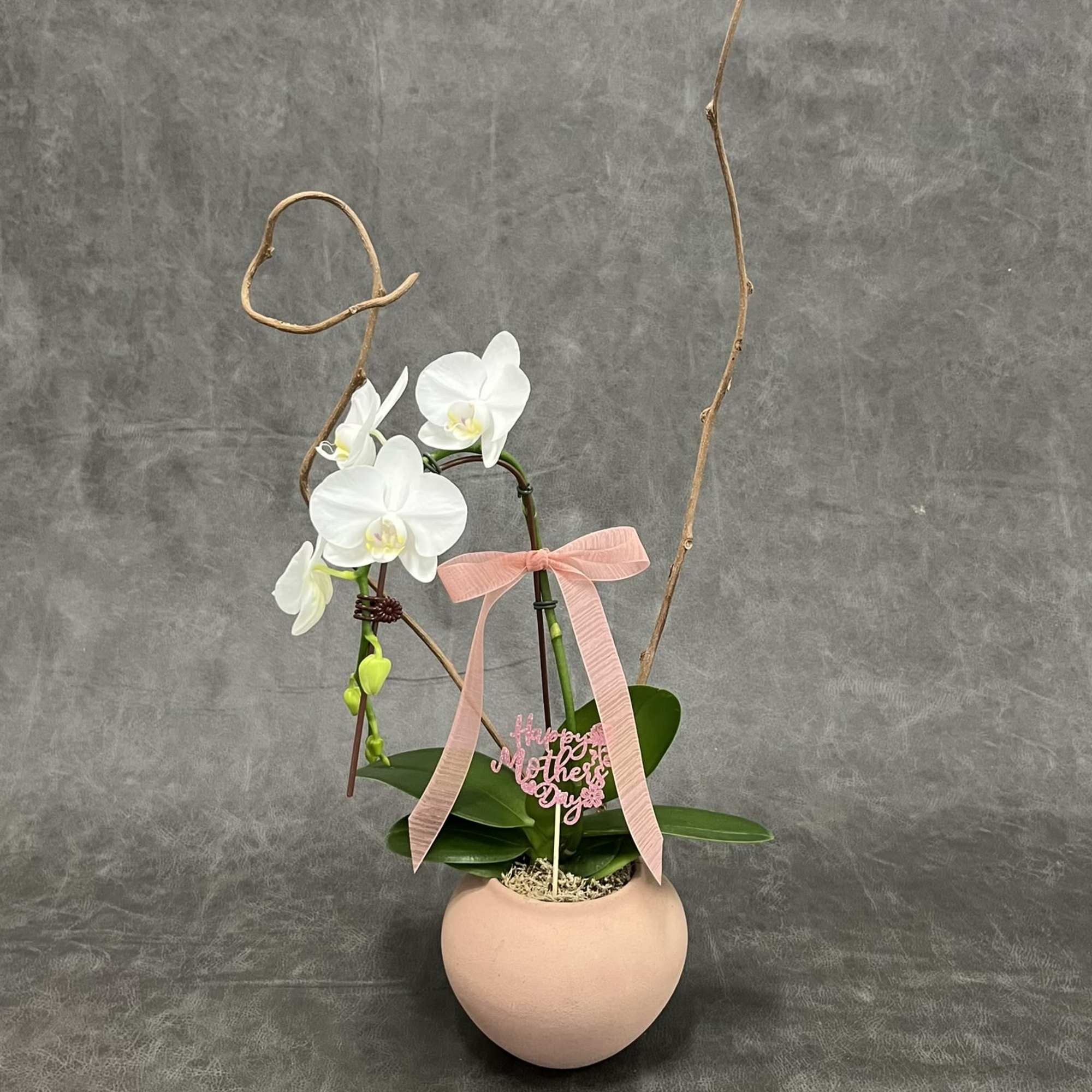 Cascading white Phalaenopsis orchids bring quiet elegance to any room - a