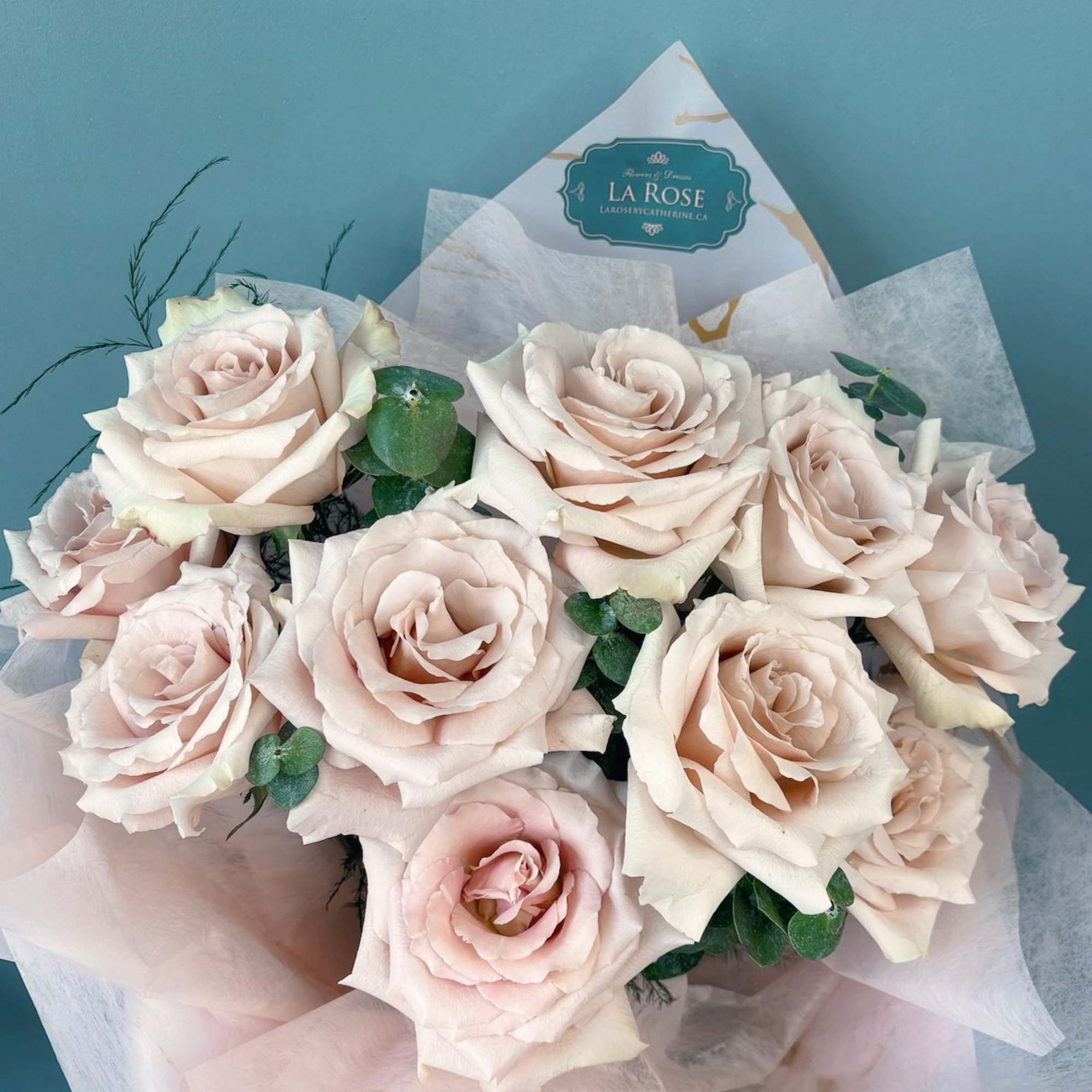 Bouquet of pale blush roses wrapped in pink paper