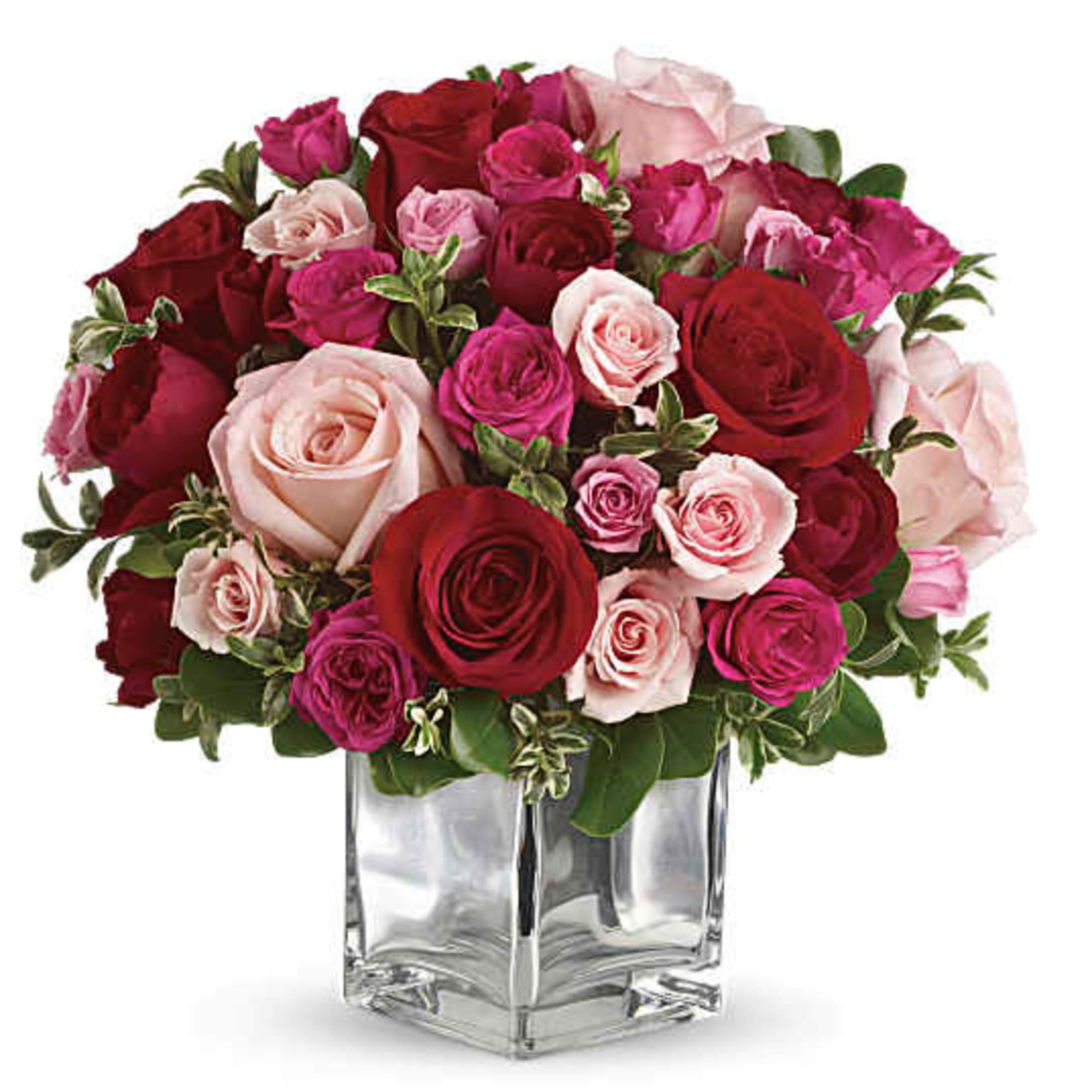 Sing them a love song - with flowers. This lush, loving rose