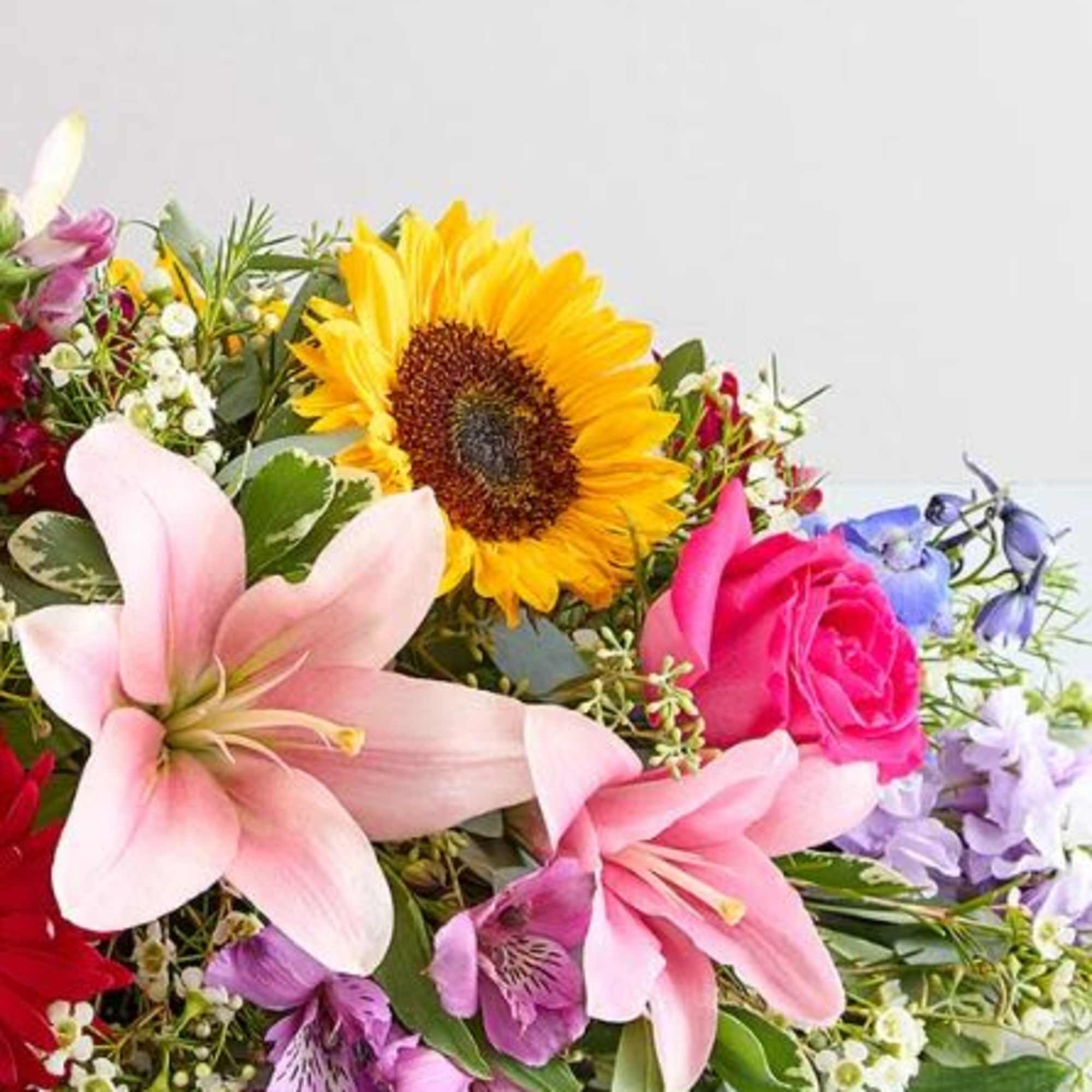  Pet Friendly?
No This arrangement contains lilies, which are highly toxic to