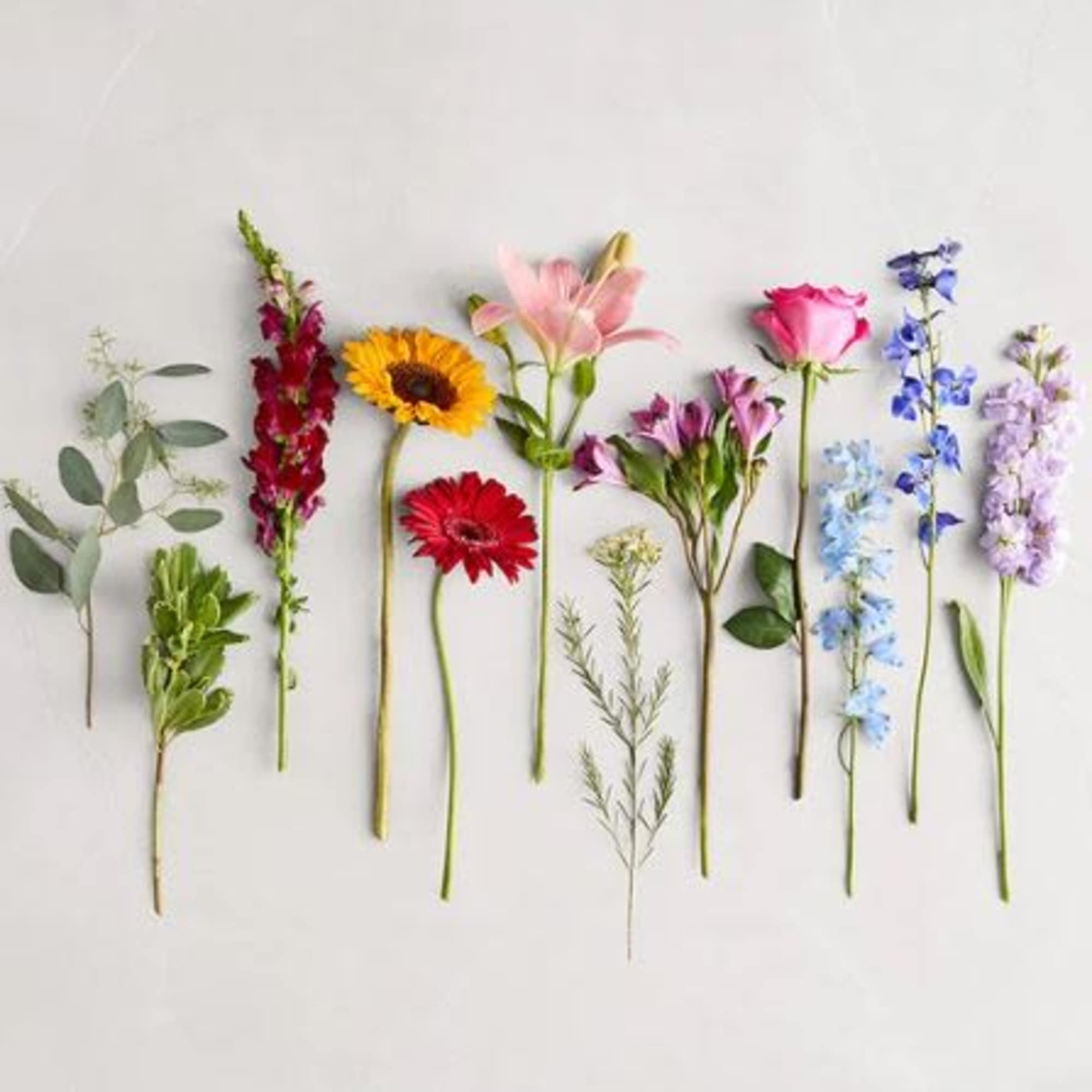  Pet Friendly?
No This arrangement contains lilies, which are highly toxic to