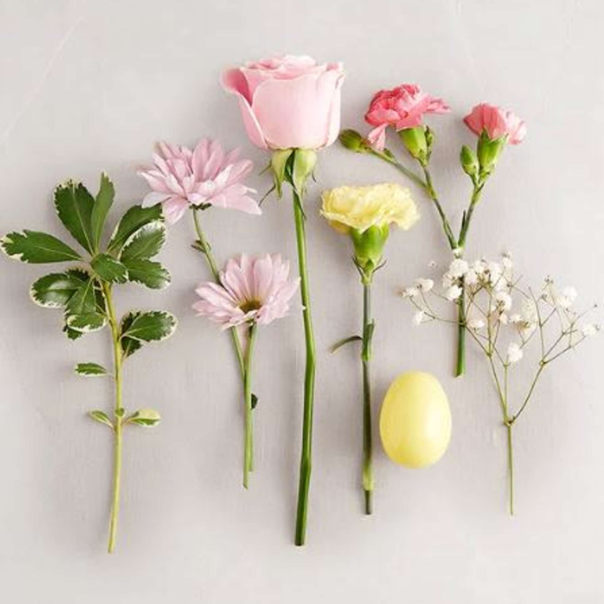  Pet Friendly?
No This arrangement contains Daisy Poms and Button Poms (Chrysanthemums)