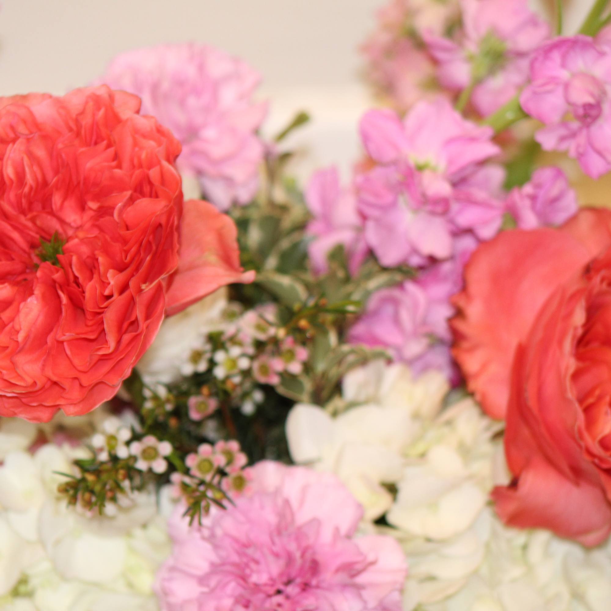 Coral and pink flowers arranged with white blooms in a soft bouquet