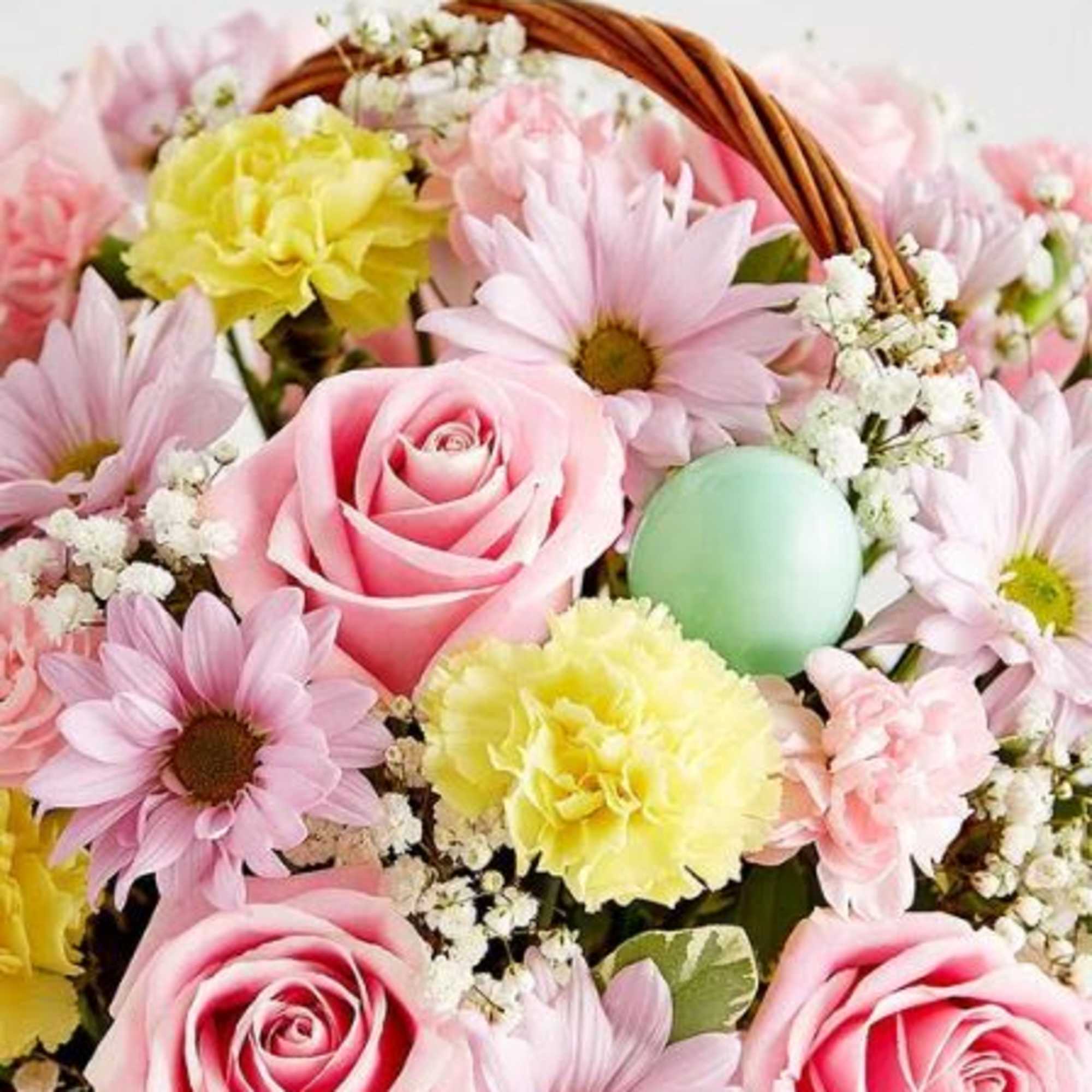  Pet Friendly?
No This arrangement contains daisies and chrysanthemums, which are toxic