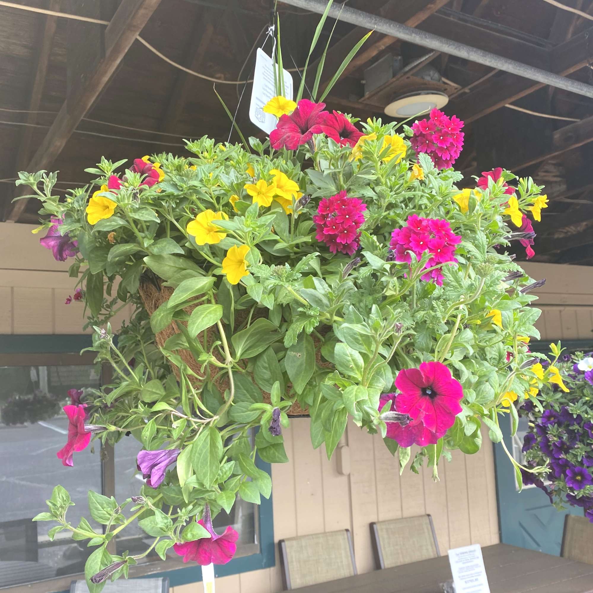 Hanging basket of pink, yellow, and purple petunias