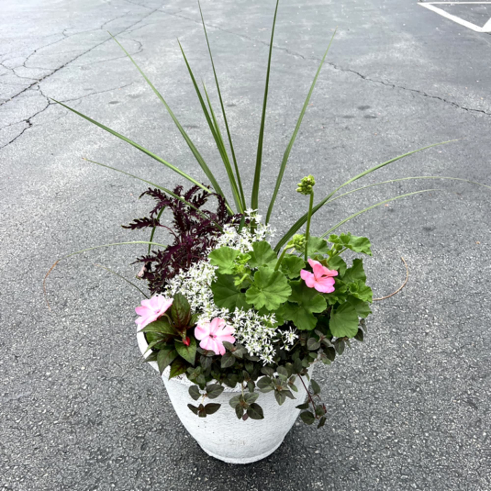 Outdoor planter with pink flowering plants, white blooms, and tall ornamental grass in a white pot