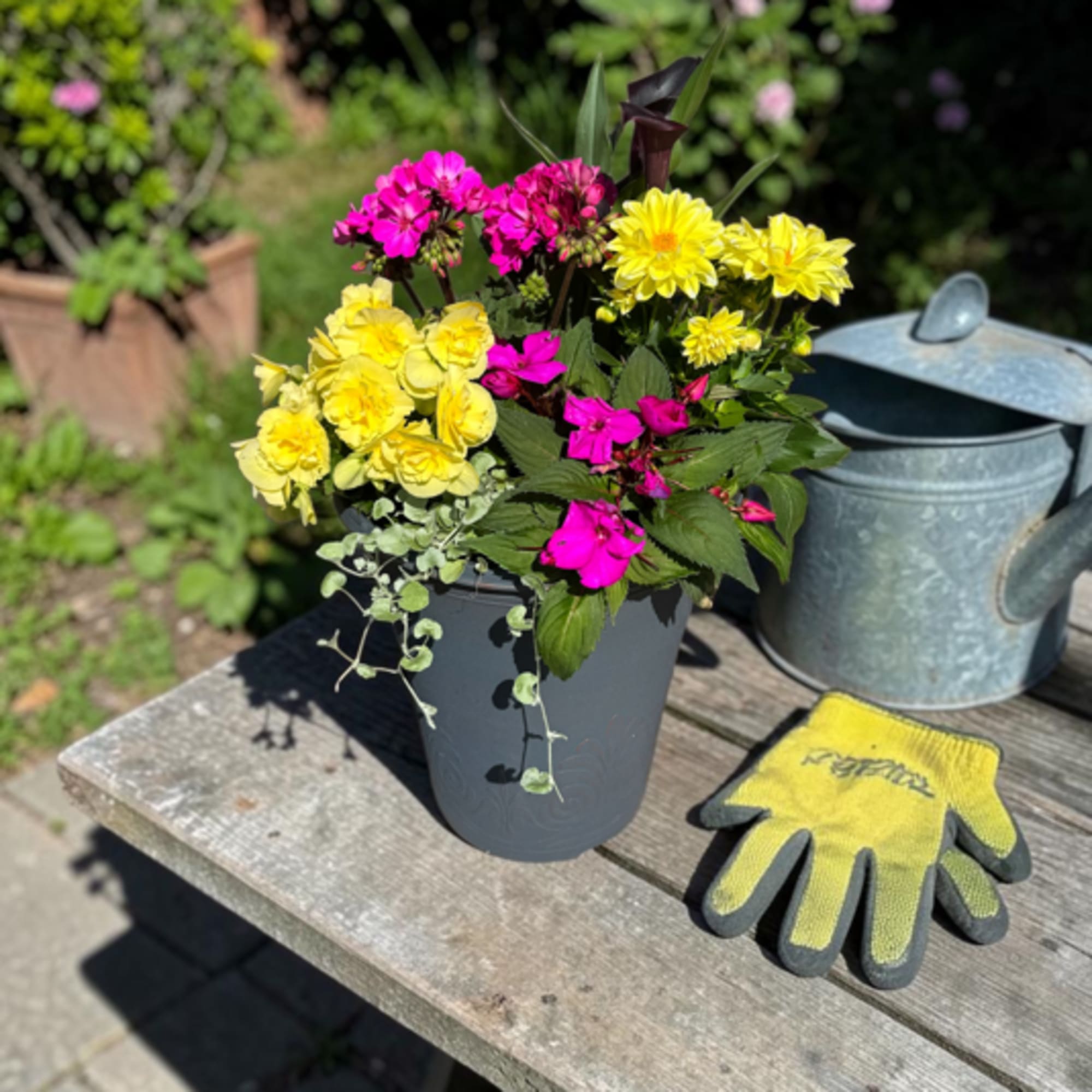 Bright, garden-fresh color greets the recipient the moment they see this small