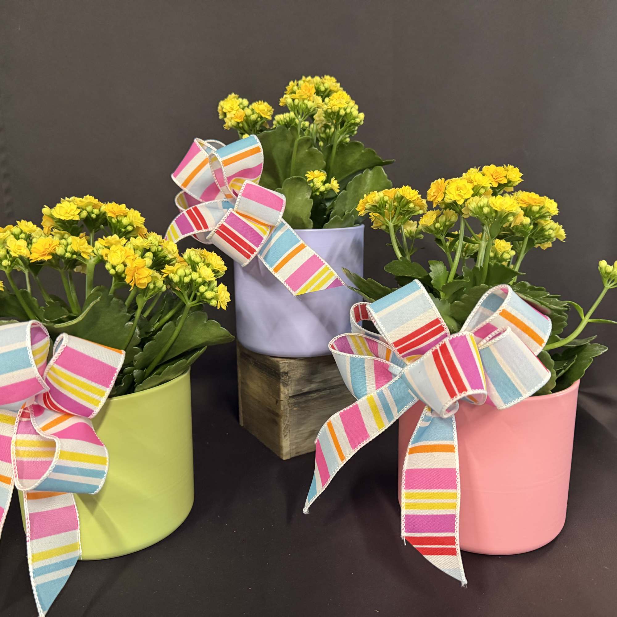 No need to shop anywhere else! This gift set has everything you