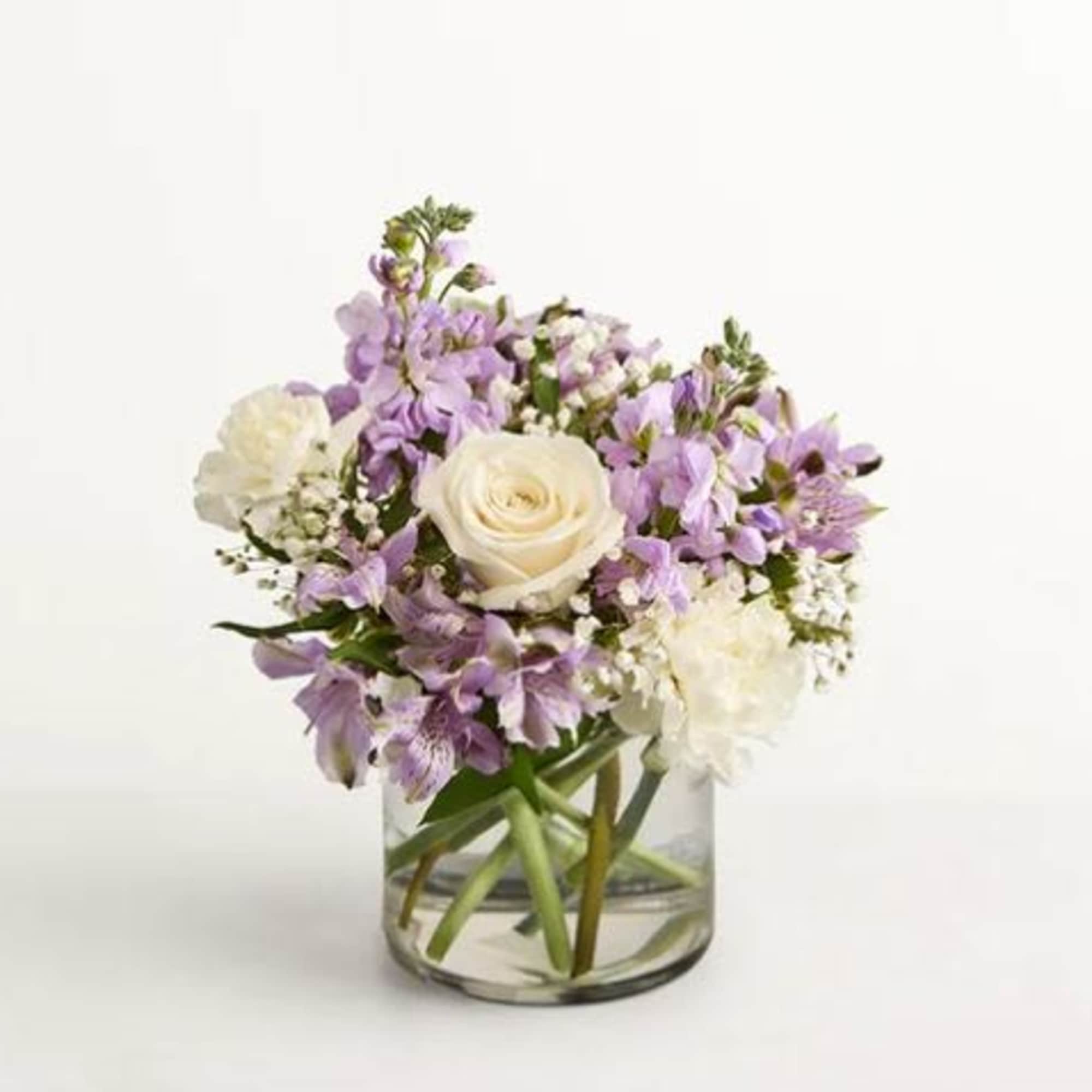  Pet Friendly?
Use Caution

Exact blooms unknown; keep out of reach of curious