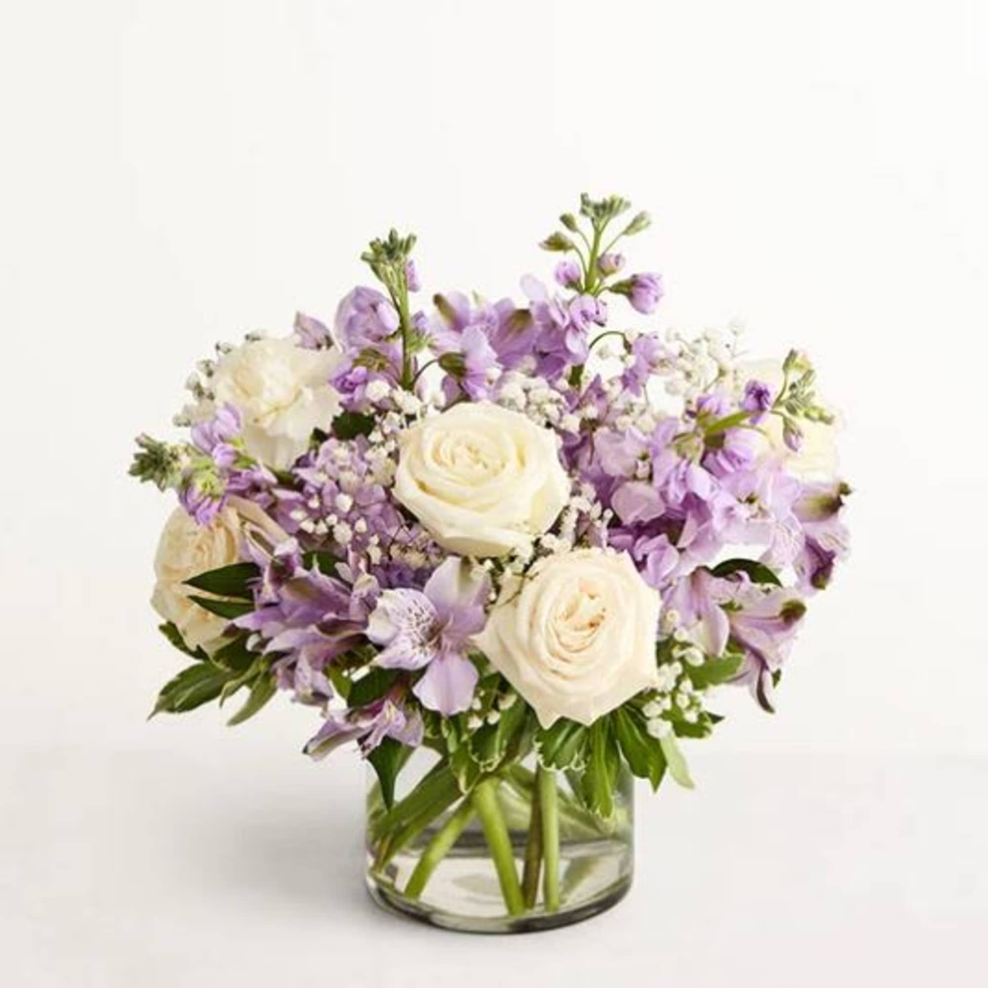  Pet Friendly?
Use Caution

Exact blooms unknown; keep out of reach of curious