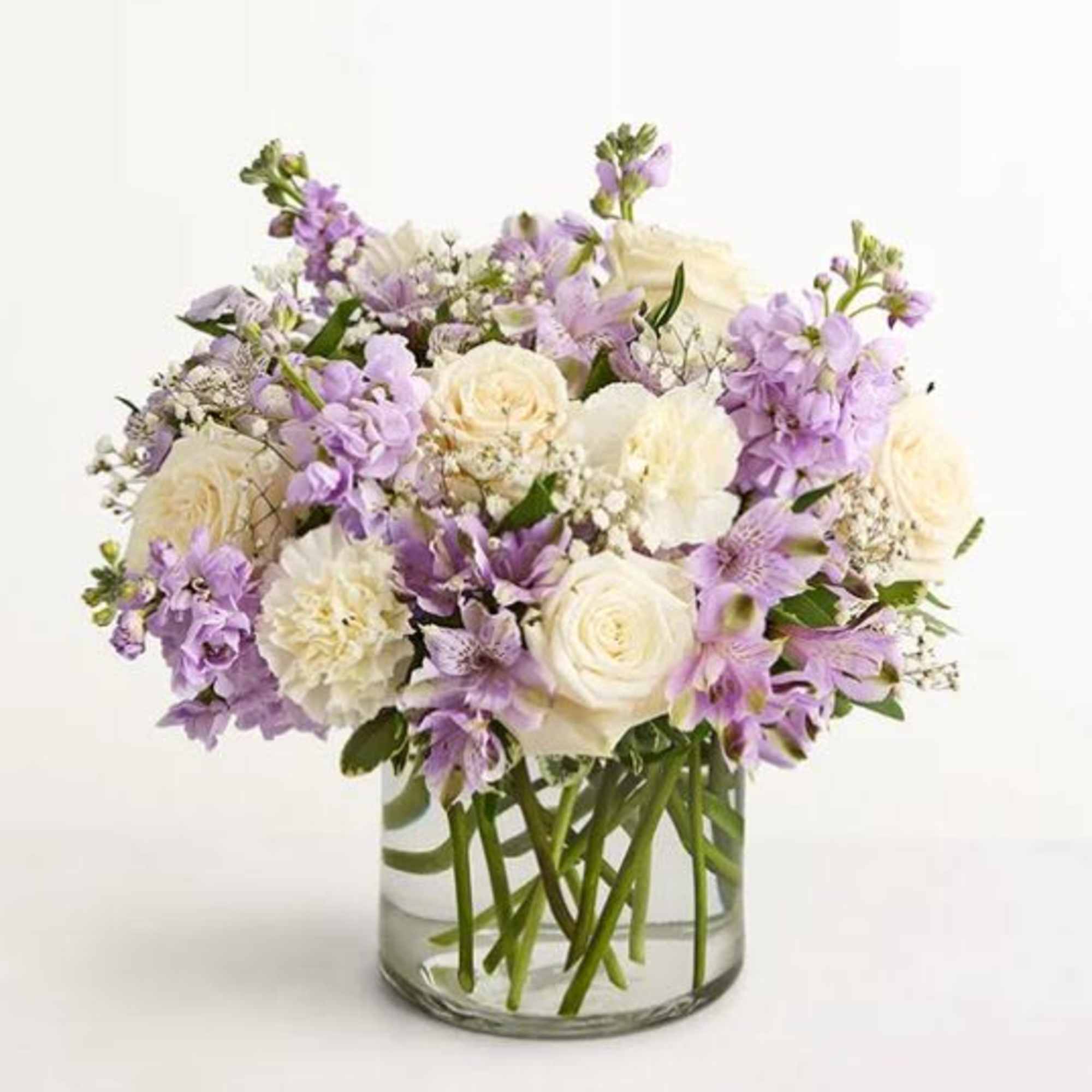  Pet Friendly?
Use Caution

Exact blooms unknown; keep out of reach of curious