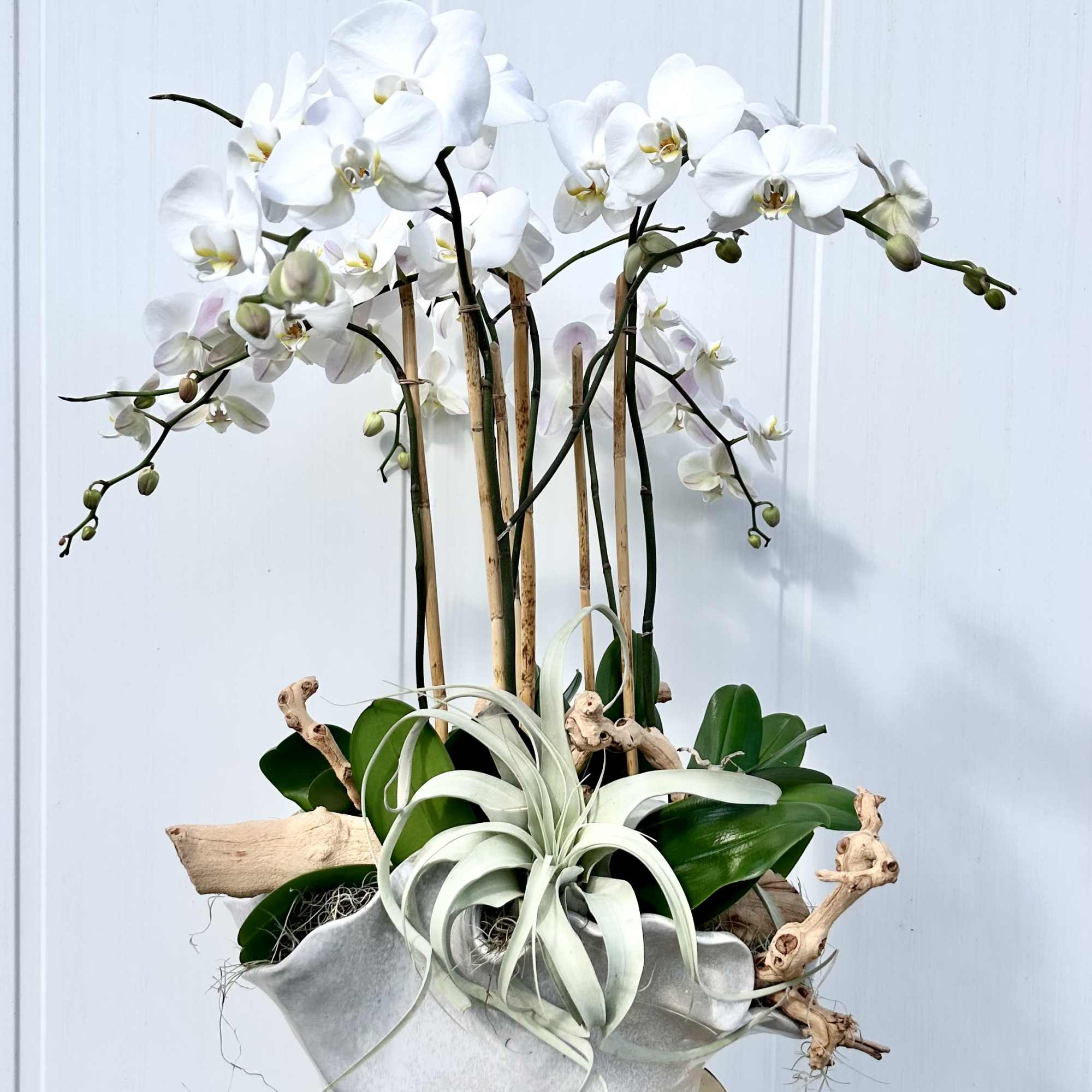 Ocean Breeze is a serene, modern arrangement that captures the calm elegance
