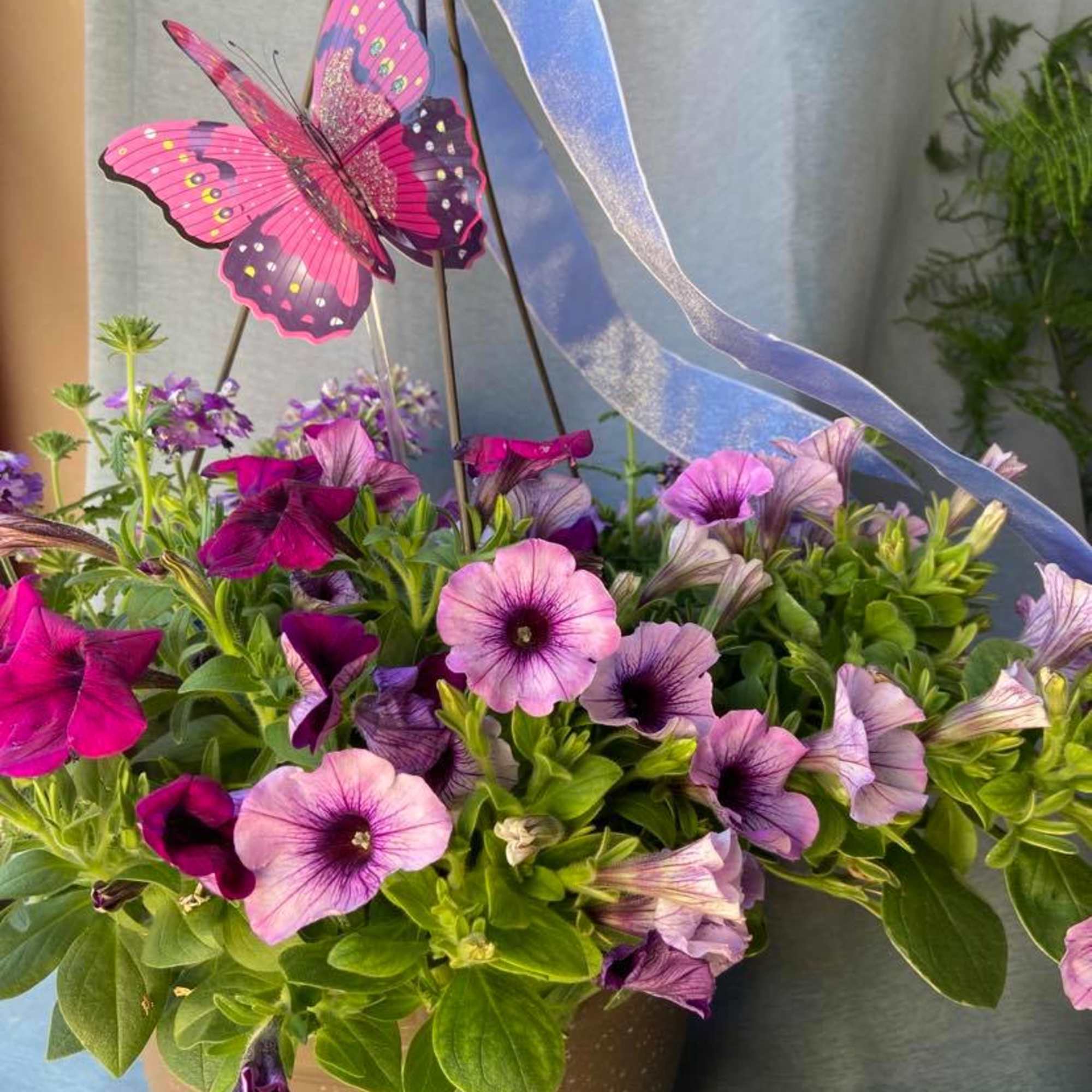 Pink and purple petunias in a brown pot with a decorative butterfly pick