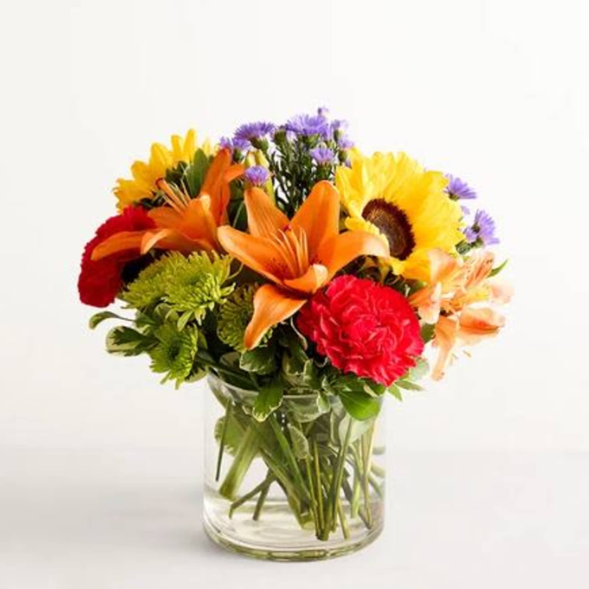  Pet Friendly?
Yes. Roses, carnations, and alstroemeria are generally considered non-toxic to