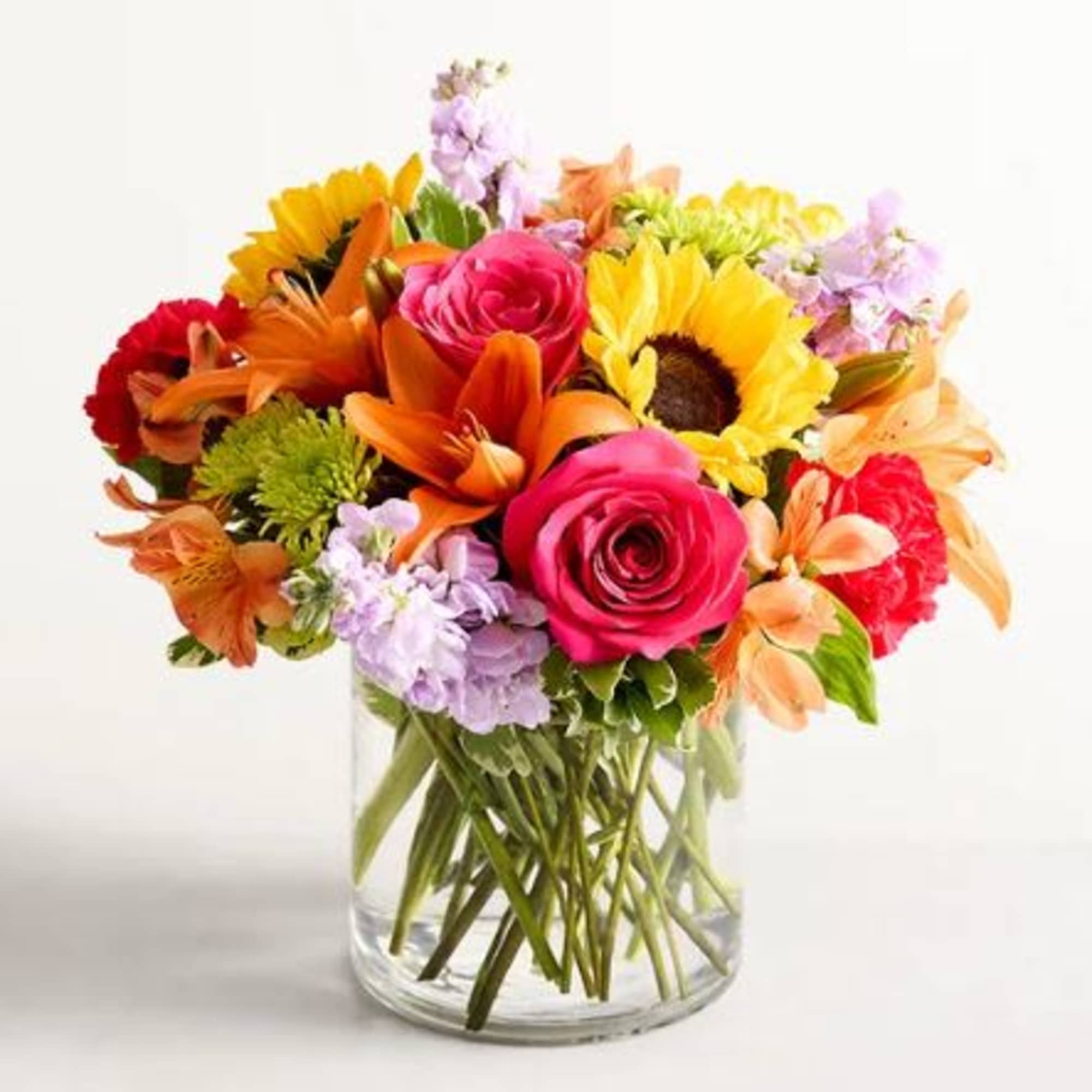  Pet Friendly?
Yes. Roses, carnations, and alstroemeria are generally considered non-toxic to