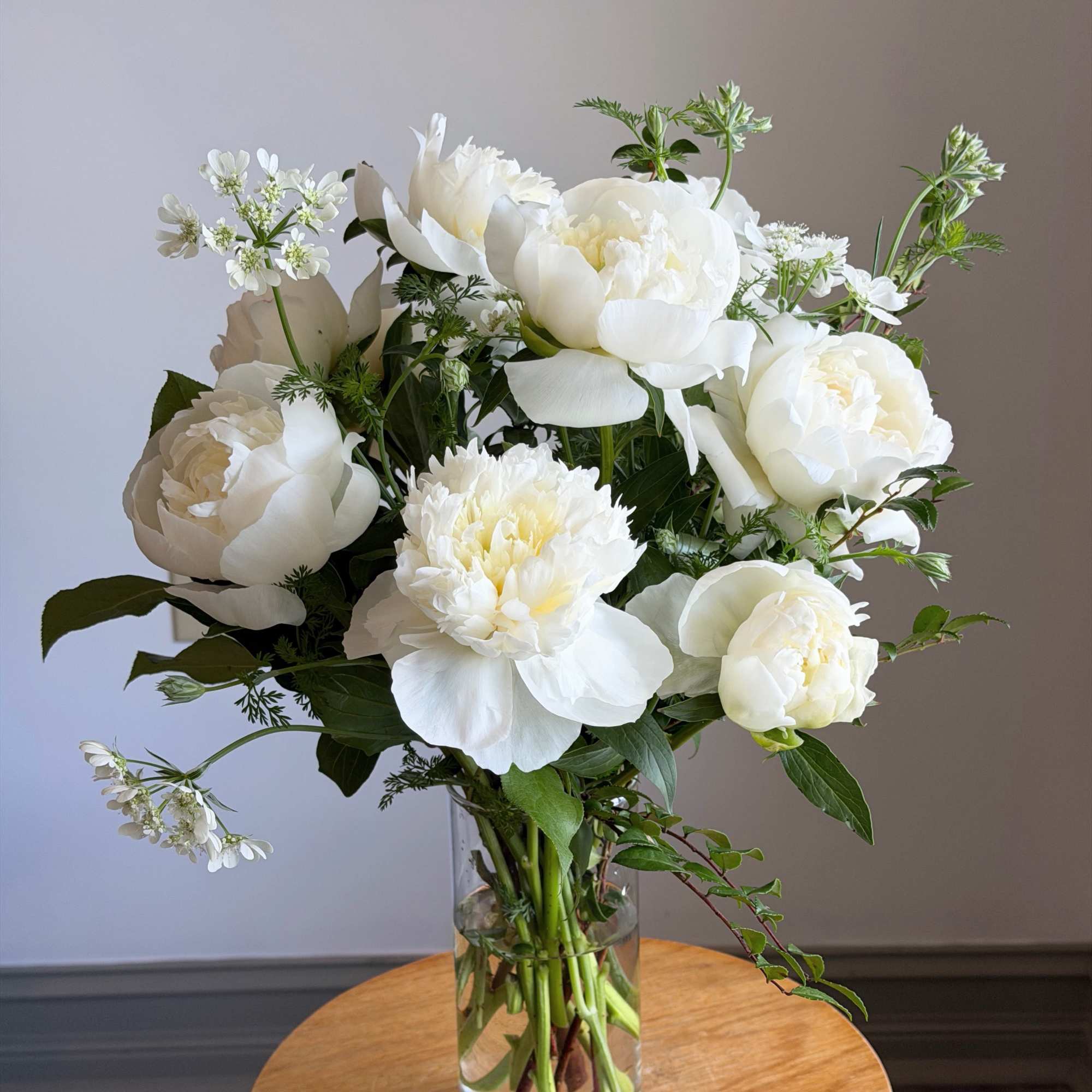 Spring's fleeting bloom is here but just for a short time! The