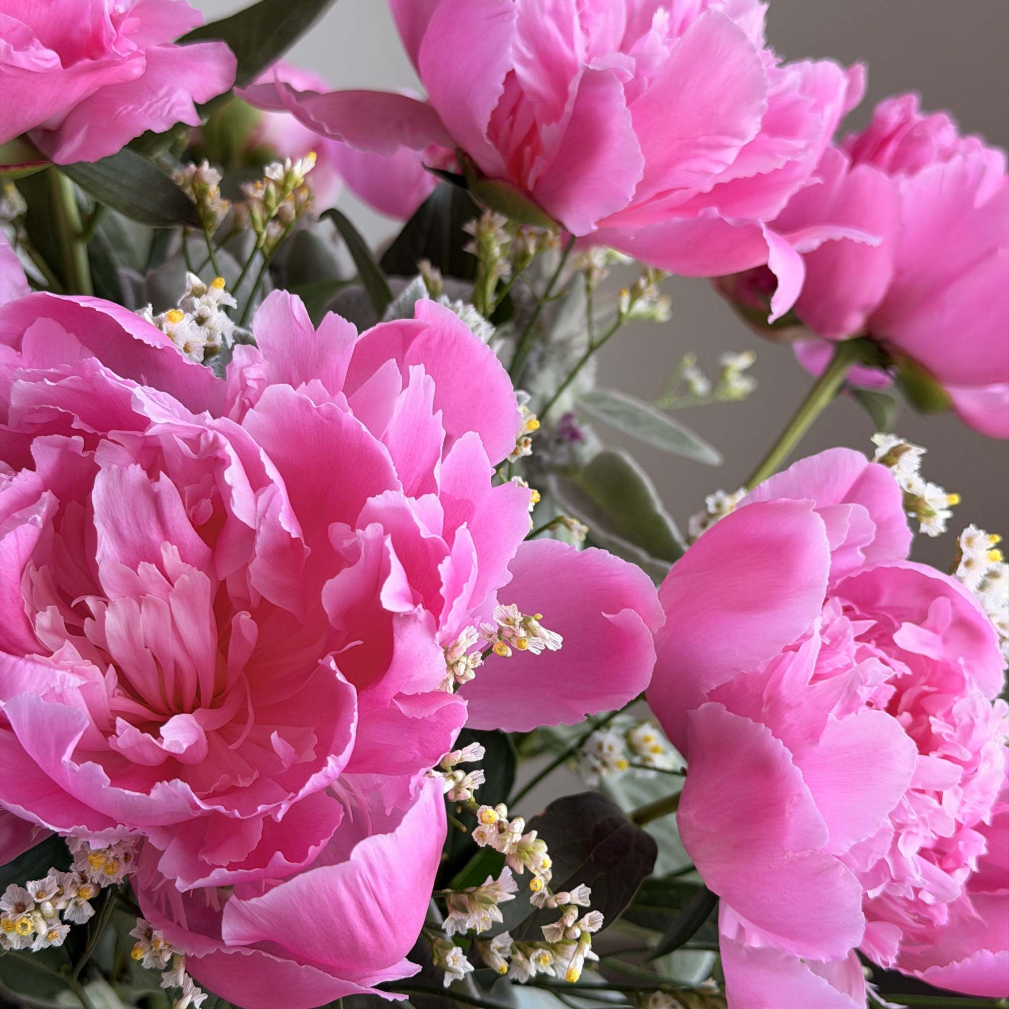 Spring's fleeting bloom is here but just for a short time! The