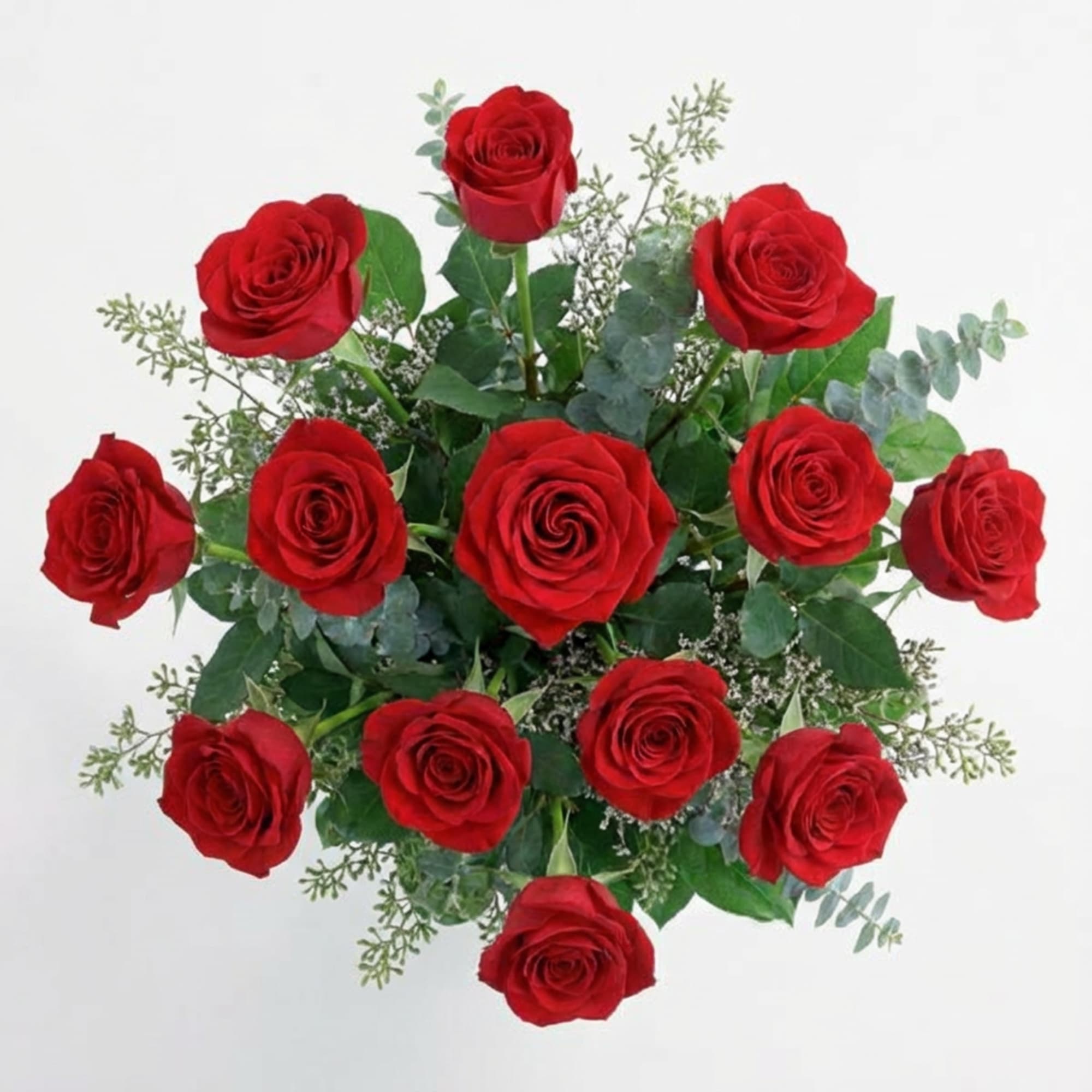  Pet Friendly?
Yes. Roses are generally non-toxic to cats and dogs.
Tip: Remove