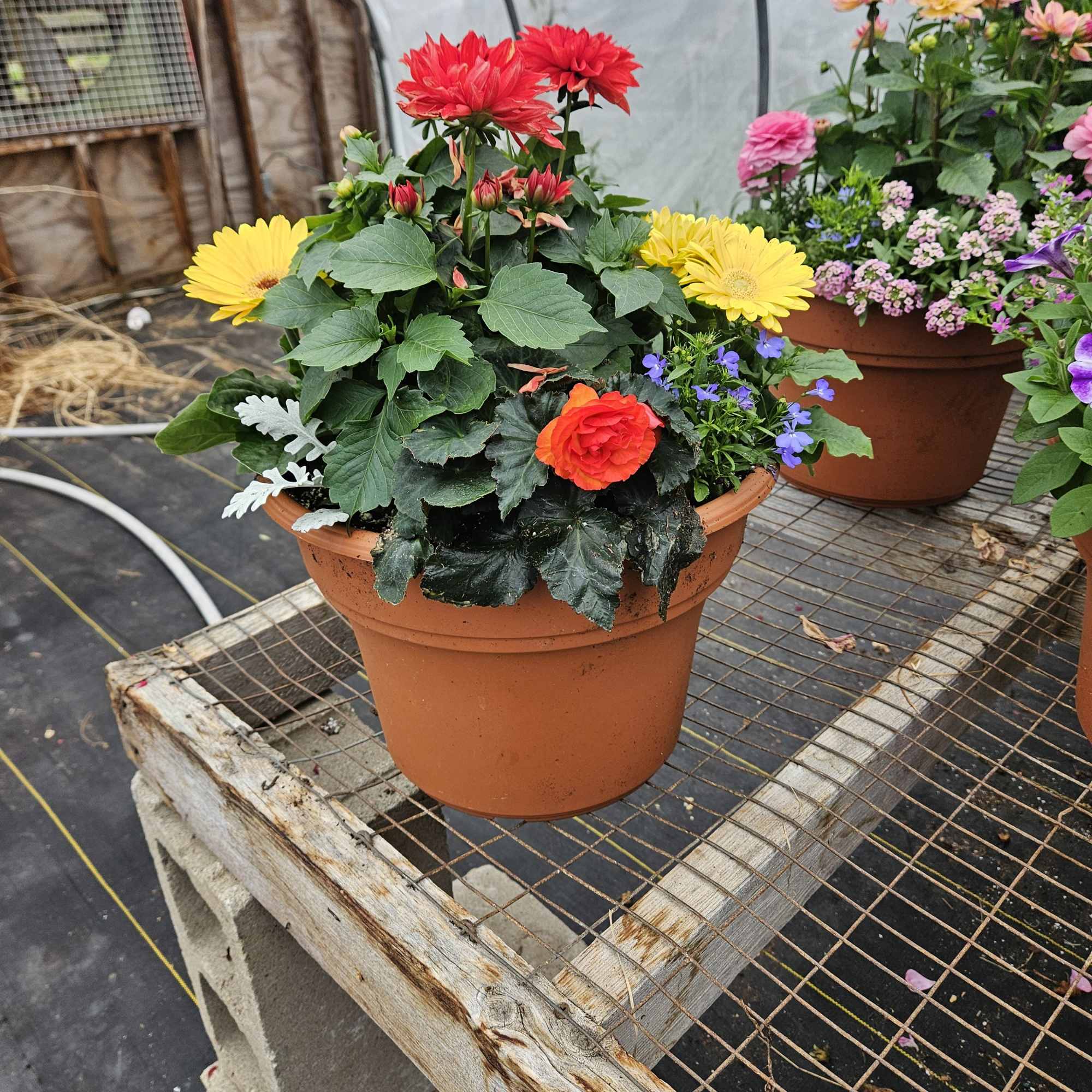 Designer chioce outdoor patio planter 