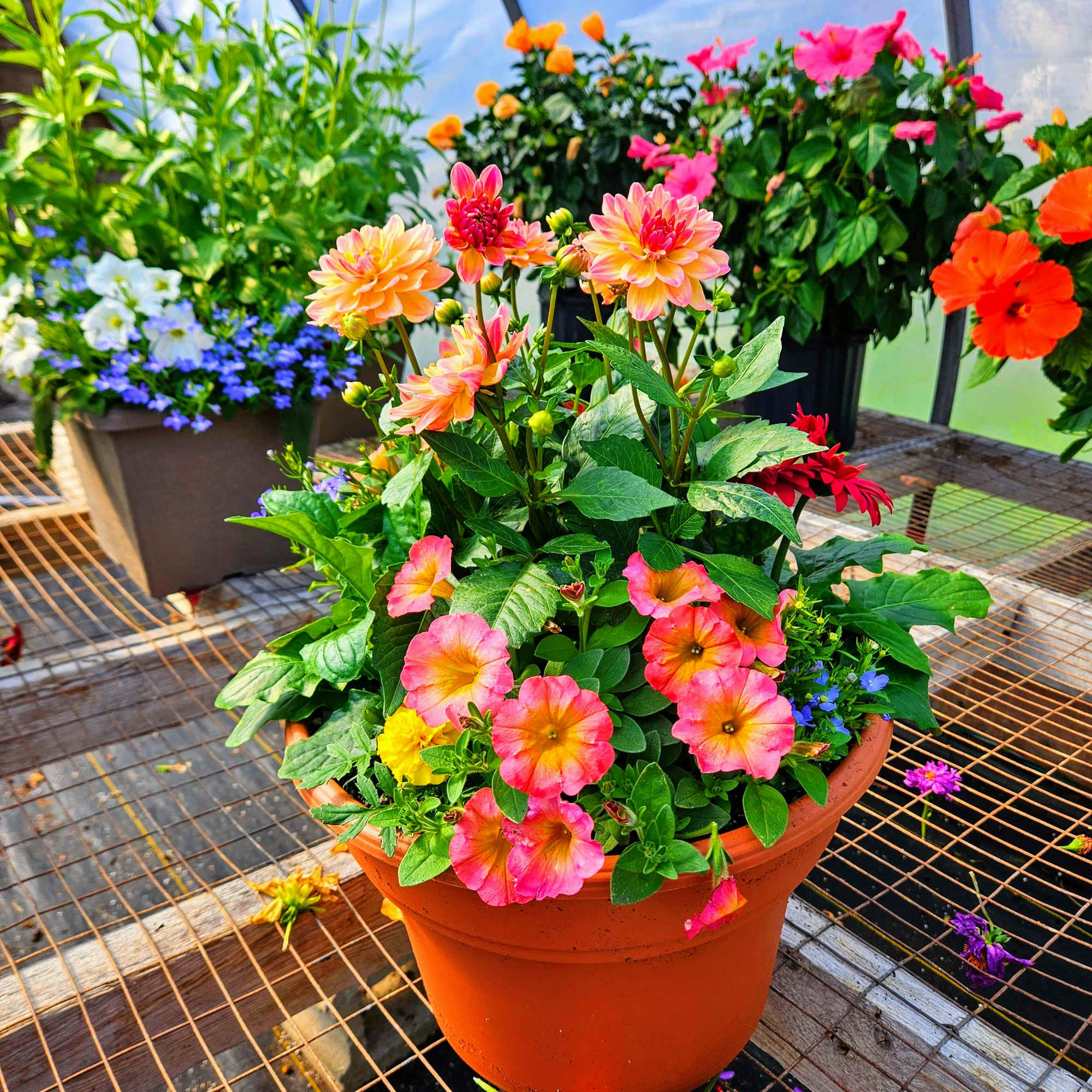 Designer chioce outdoor patio planter 