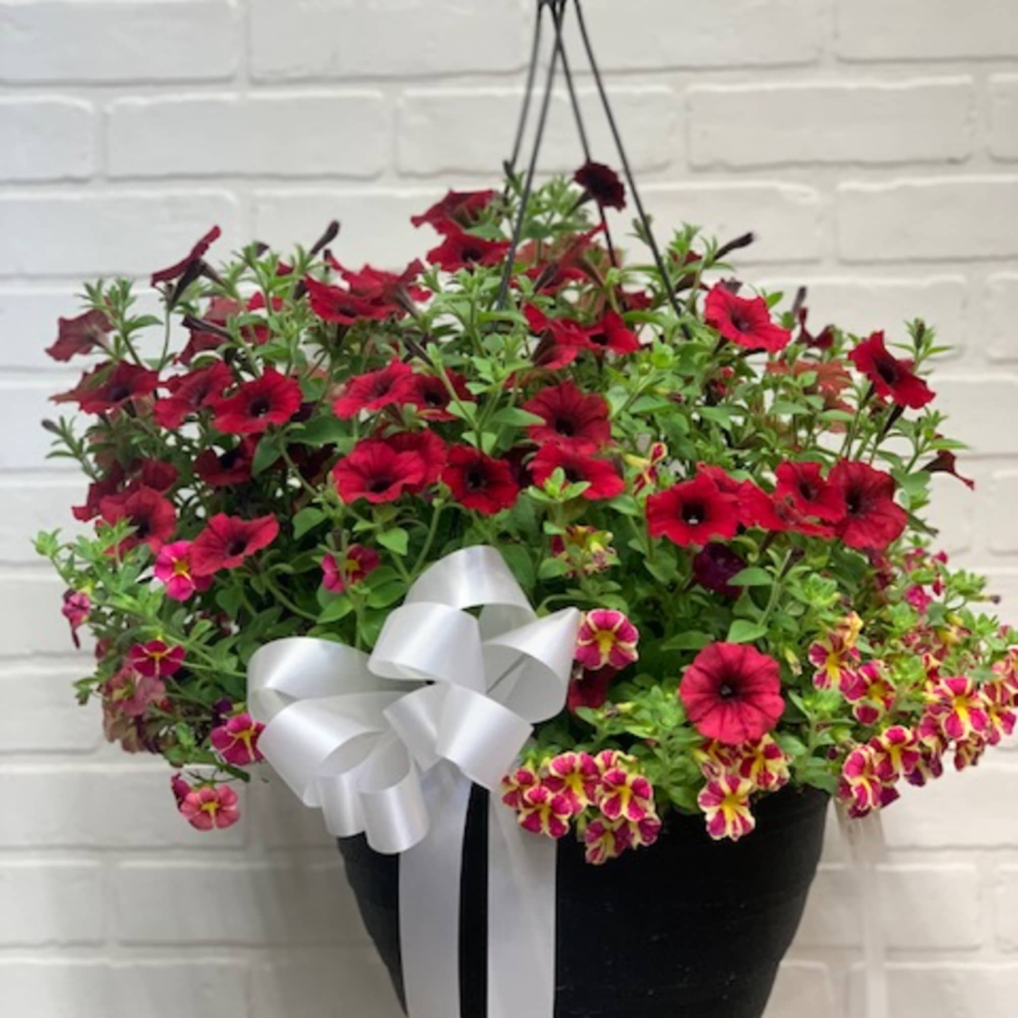 Hanging basket of red and pink petunia flowers with a white ribbon bow