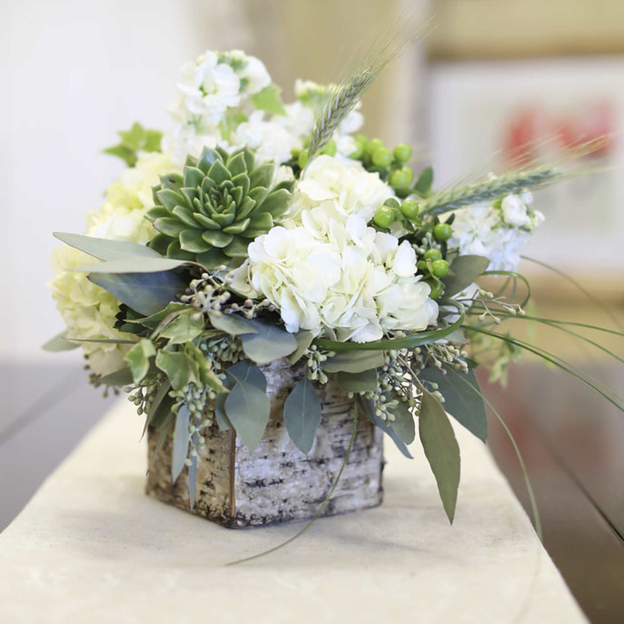 Succulent and Birch Beauty in Toms River, NJ | Narcissus Florals