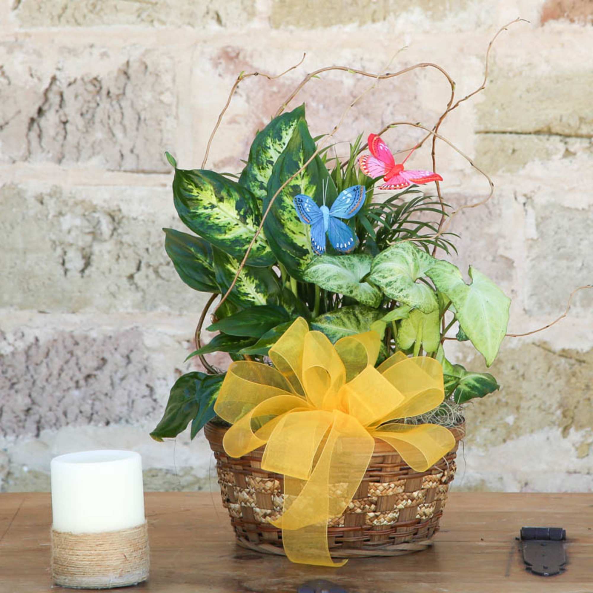 Potted leafy plant in a woven basket with a yellow bow and butterfly picks