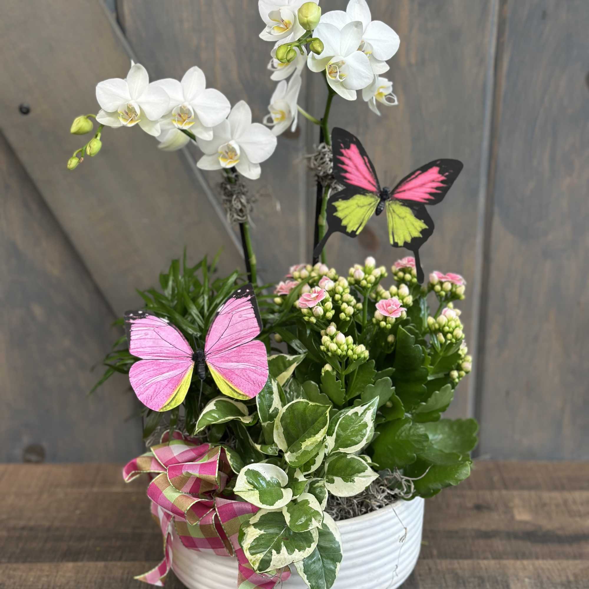 White orchids and pink kalanchoe in a white bowl planter with butterfly picks.